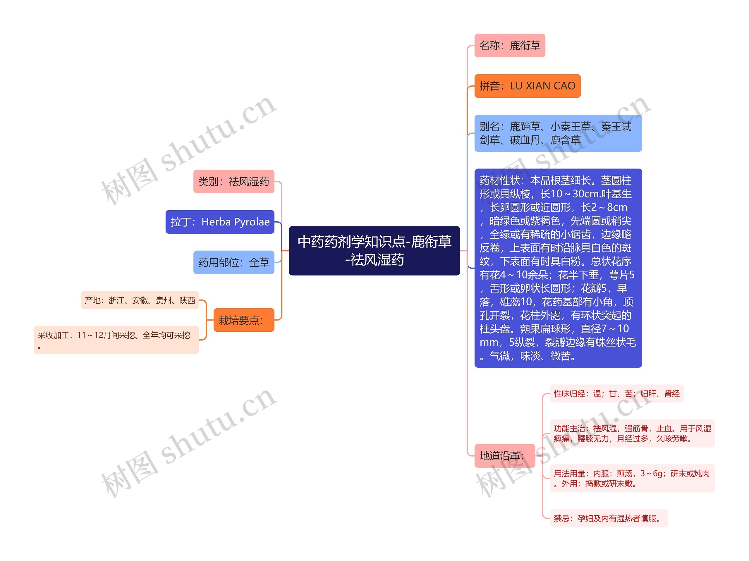 中药药剂学知识点-鹿衔草-祛风湿药思维导图