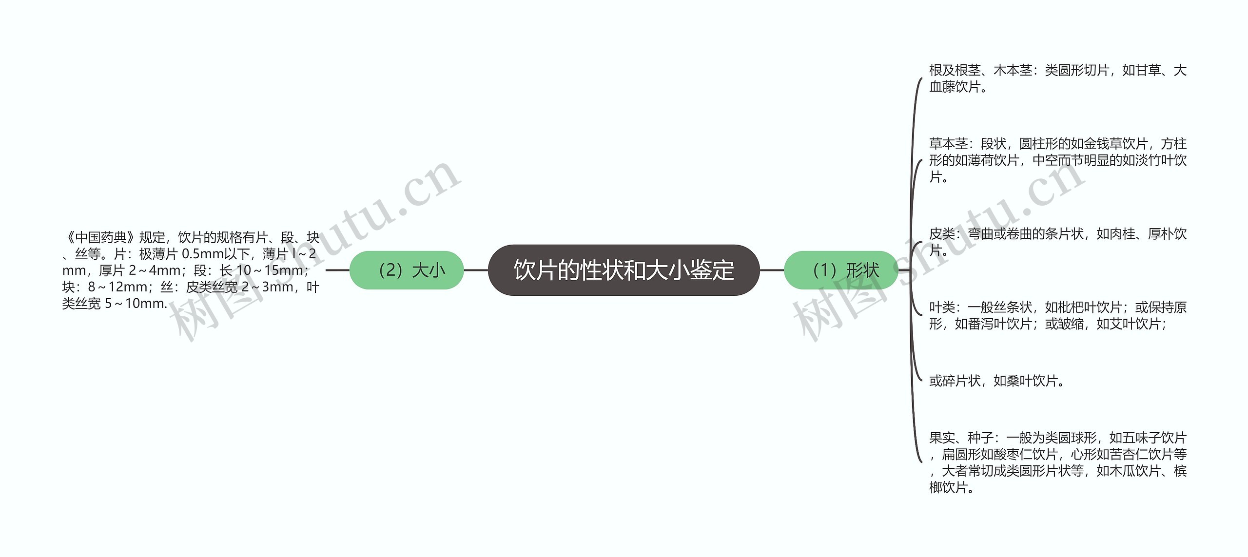 饮片的性状和大小鉴定思维导图