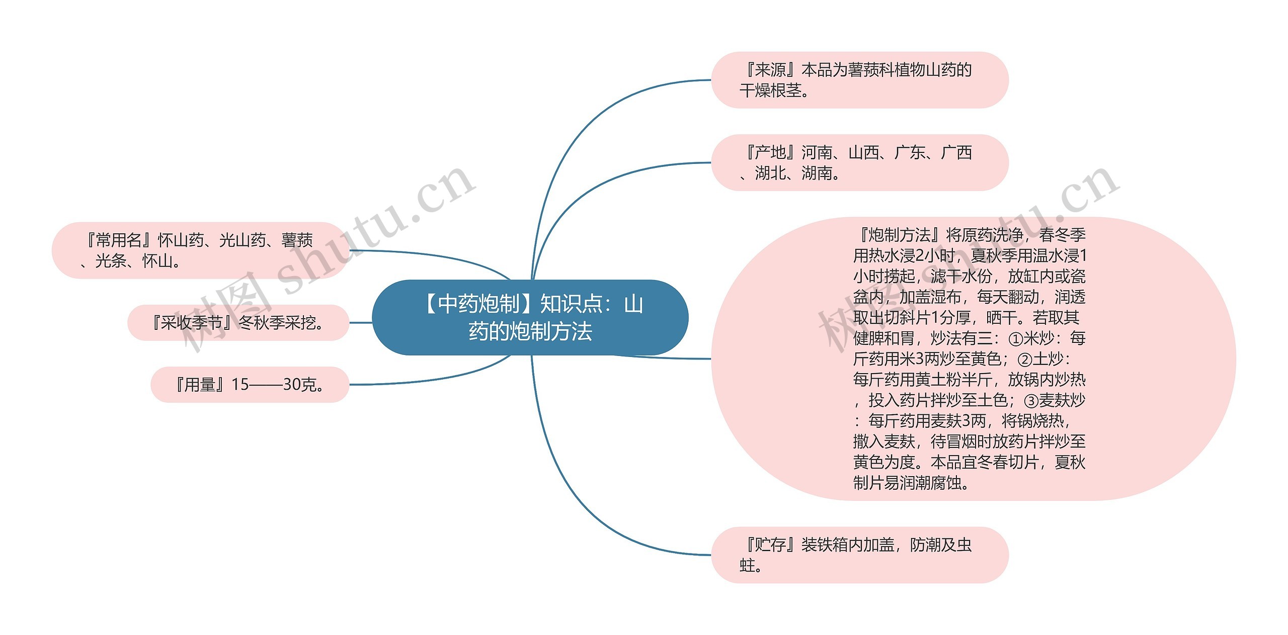 【中药炮制】知识点：山药的炮制方法思维导图