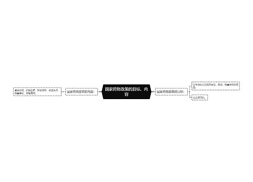 国家药物政策的目标、内容