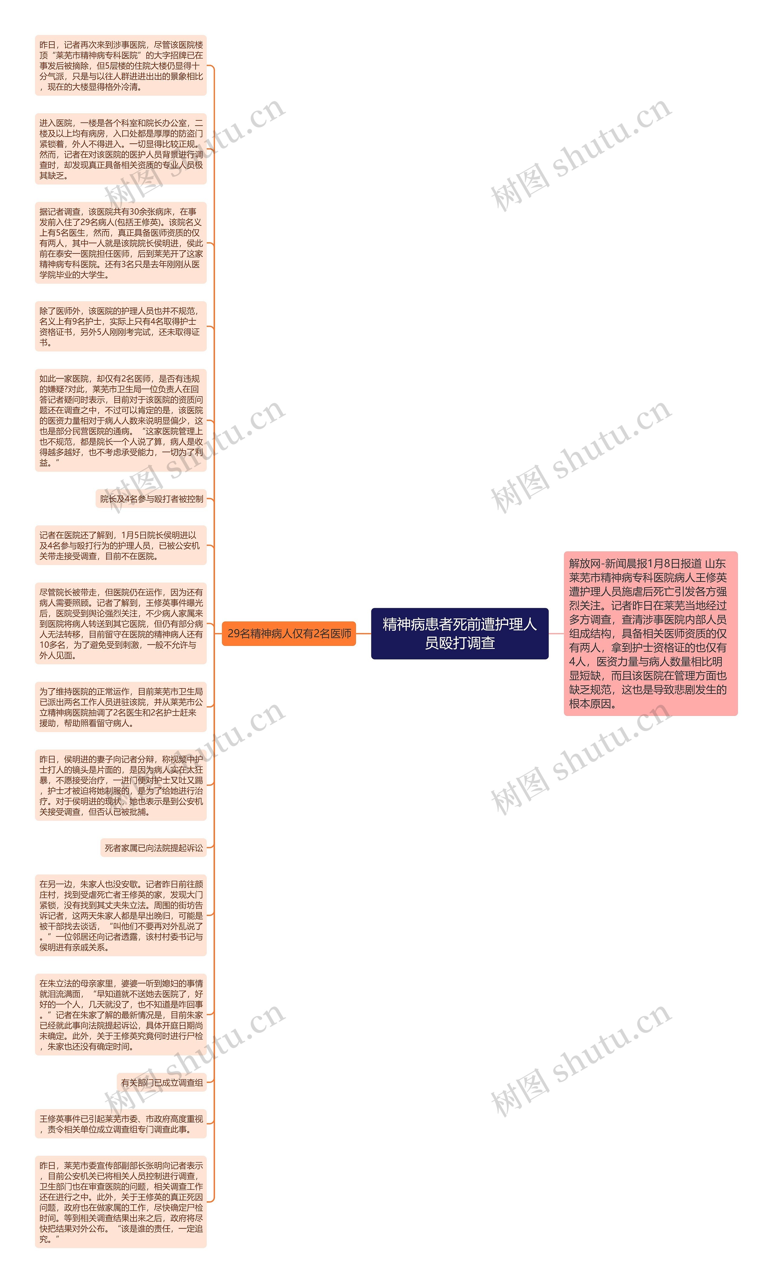 精神病患者死前遭护理人员殴打调查思维导图