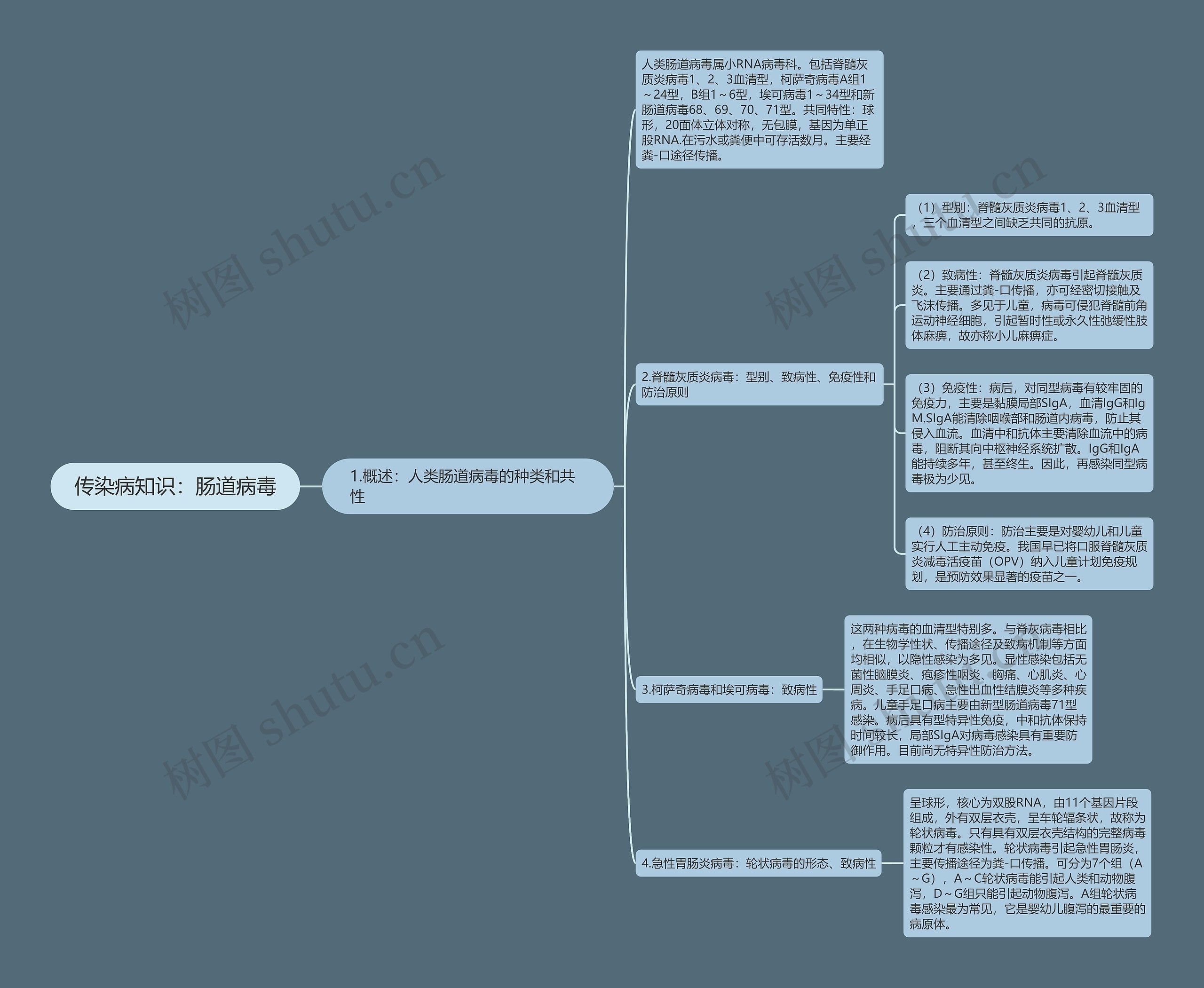 传染病知识:肠道病毒 传染病知识:肠道病毒