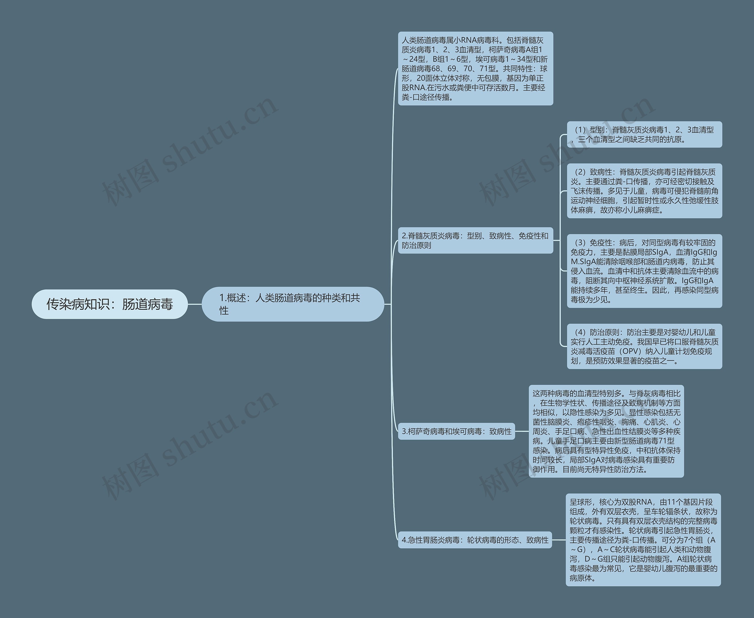 传染病知识：肠道病毒思维导图