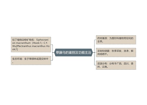 草藤乌的鉴别及功能主治