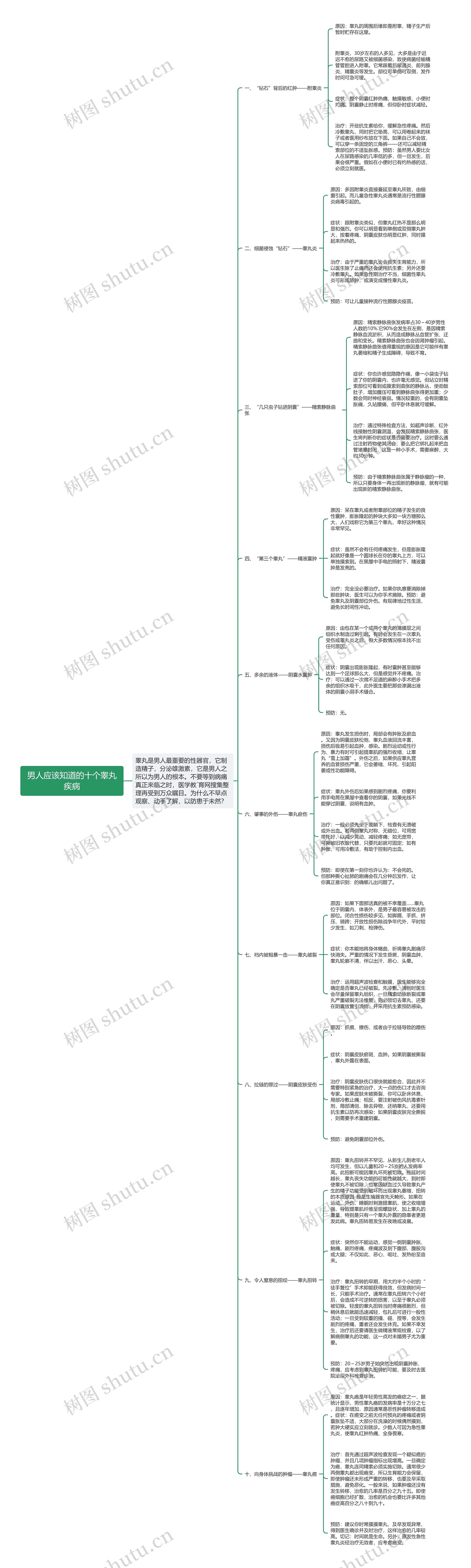 男人应该知道的十个睾丸疾病思维导图