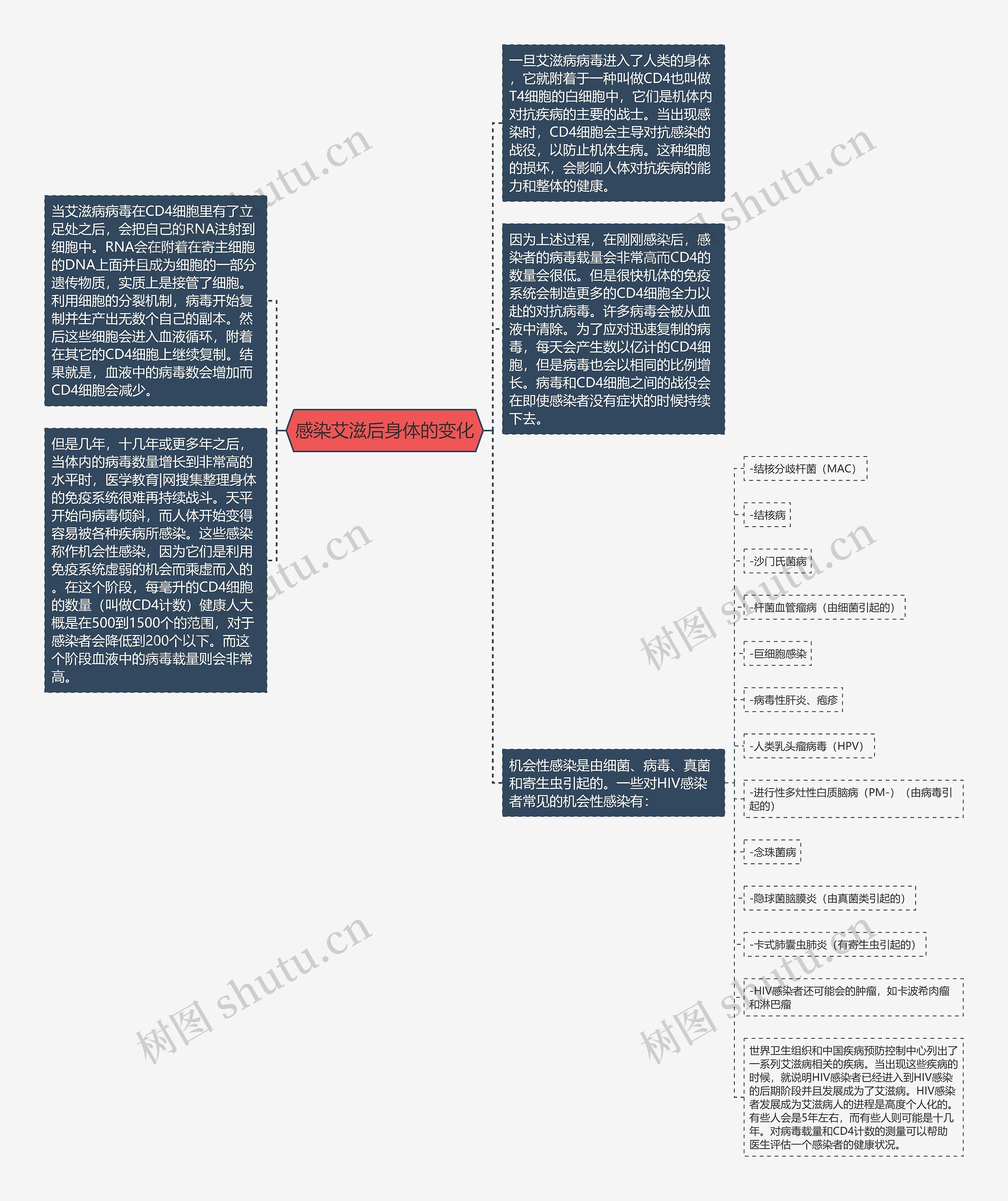 感染艾滋后身体的变化