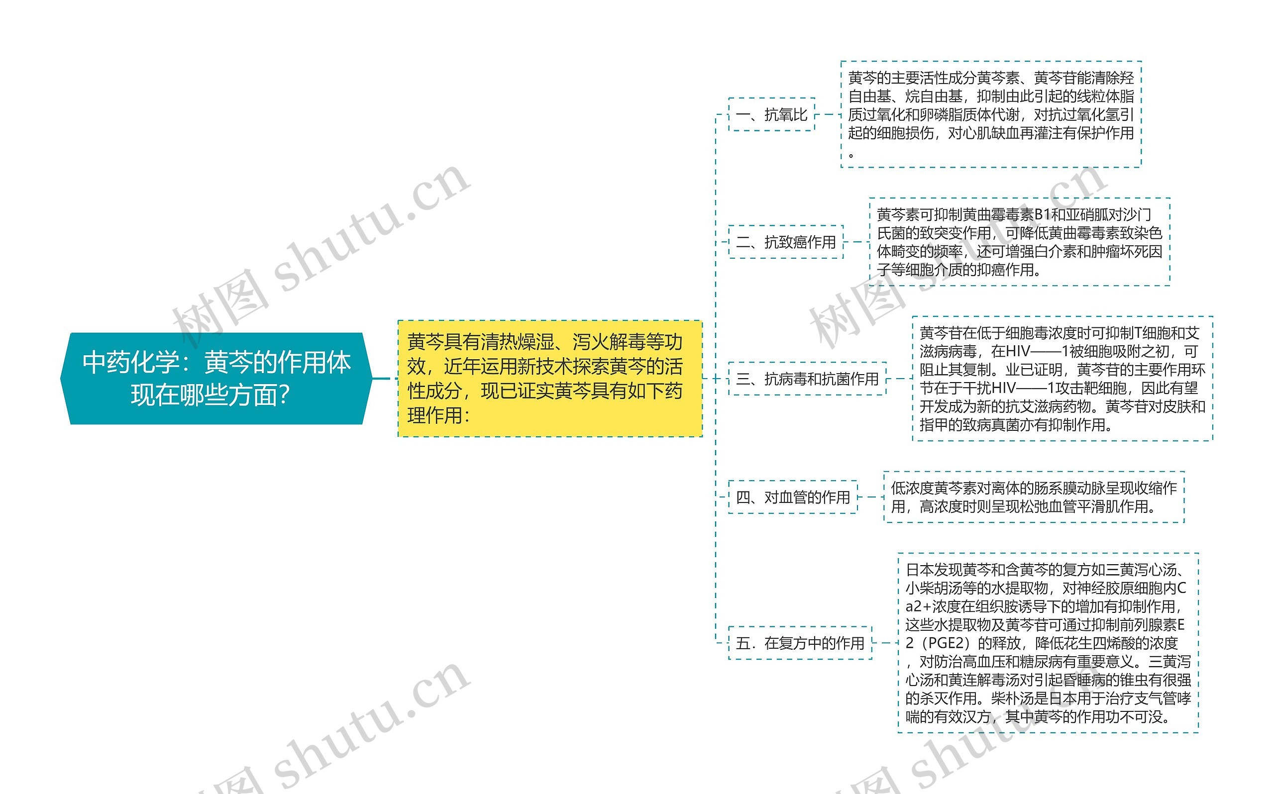 中药化学：黄芩的作用体现在哪些方面？思维导图