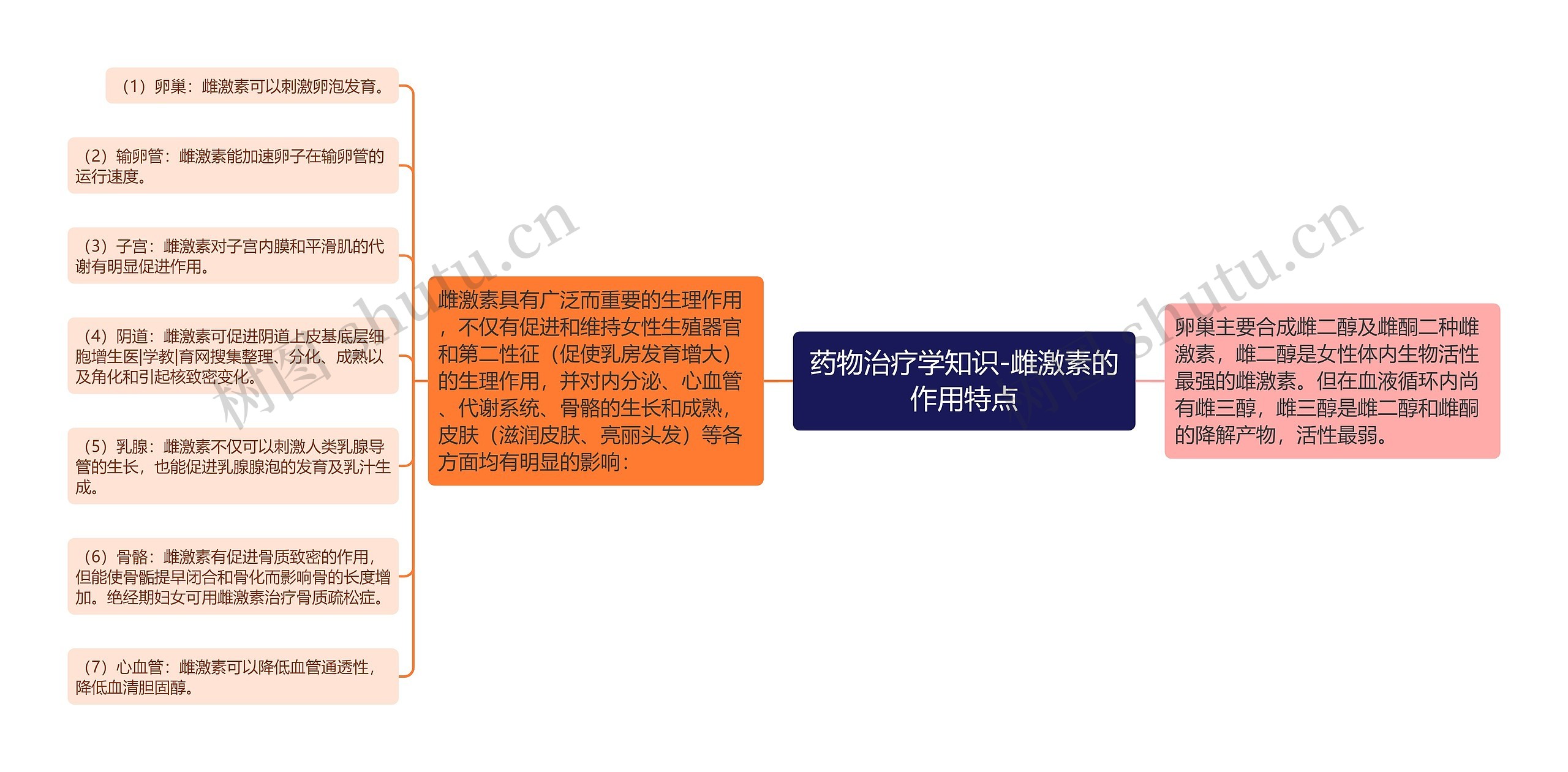 药物治疗学知识-雌激素的作用特点 药物治疗学知识-雌激素的作用特点