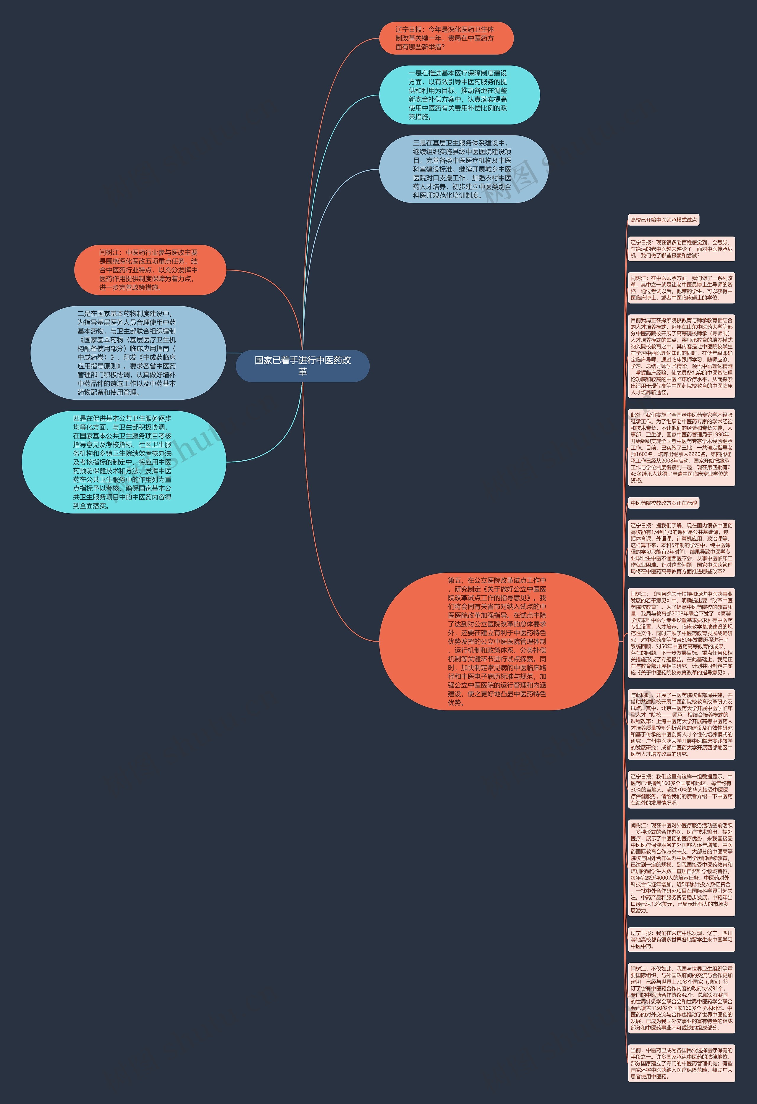 国家已着手进行中医药改革思维导图