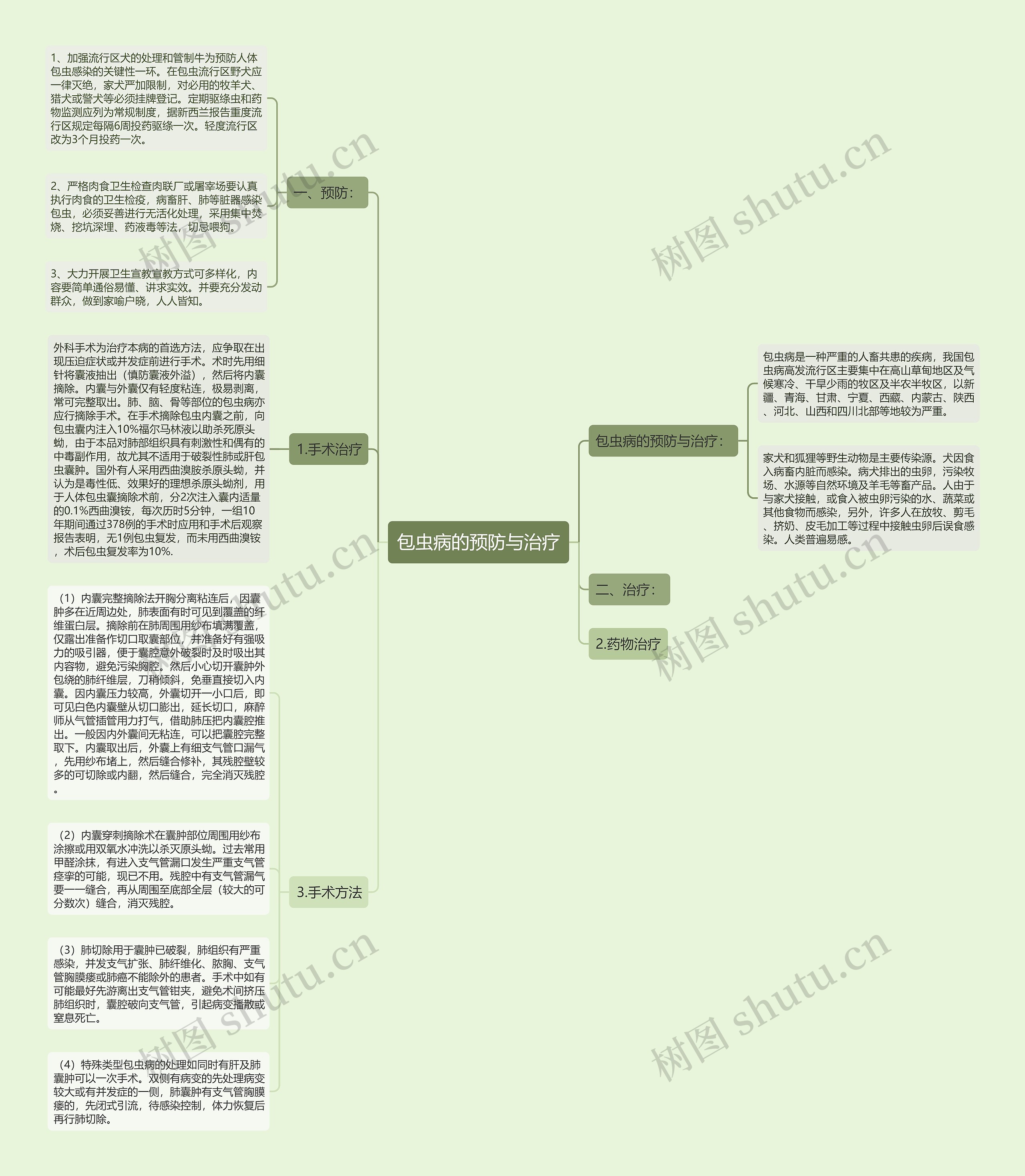 包虫病的预防与治疗思维导图