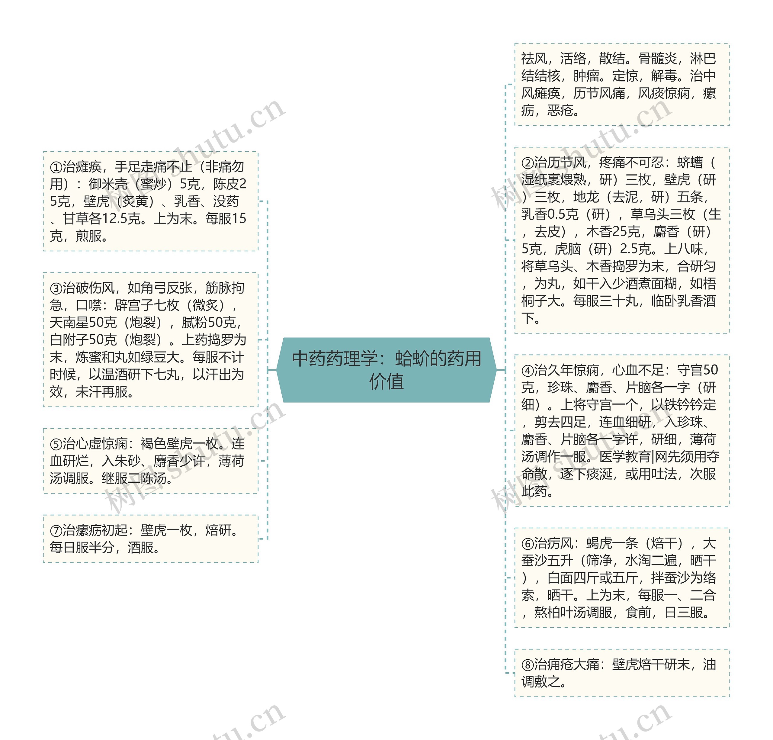 中药药理学：蛤蚧的药用价值