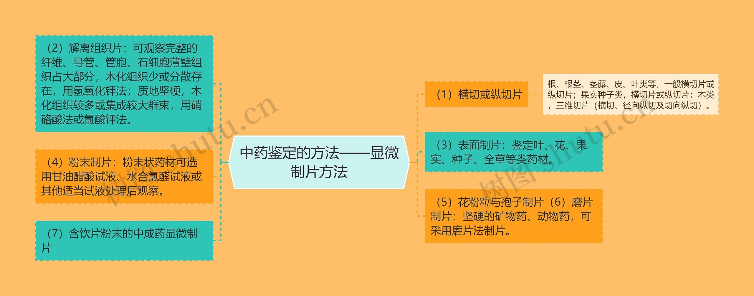中药鉴定的方法——显微制片方法 中药鉴定的方法——显微制片方法