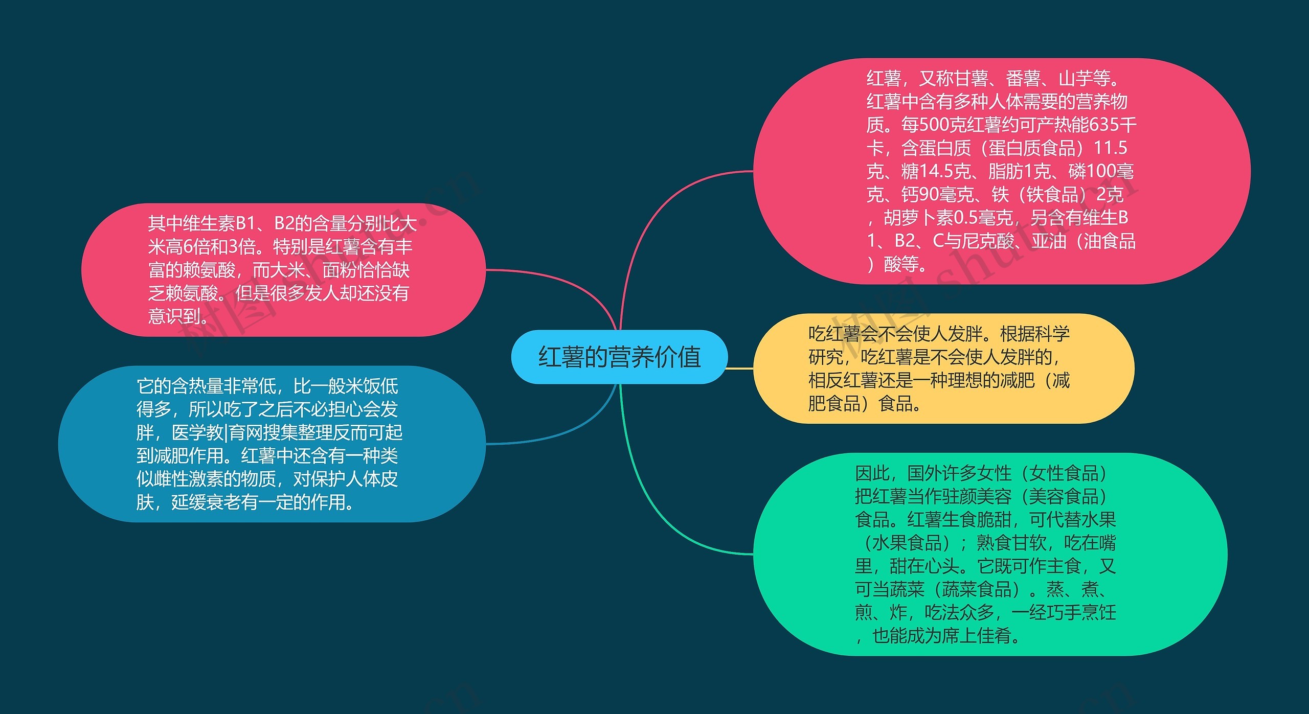 红薯的营养价值思维导图