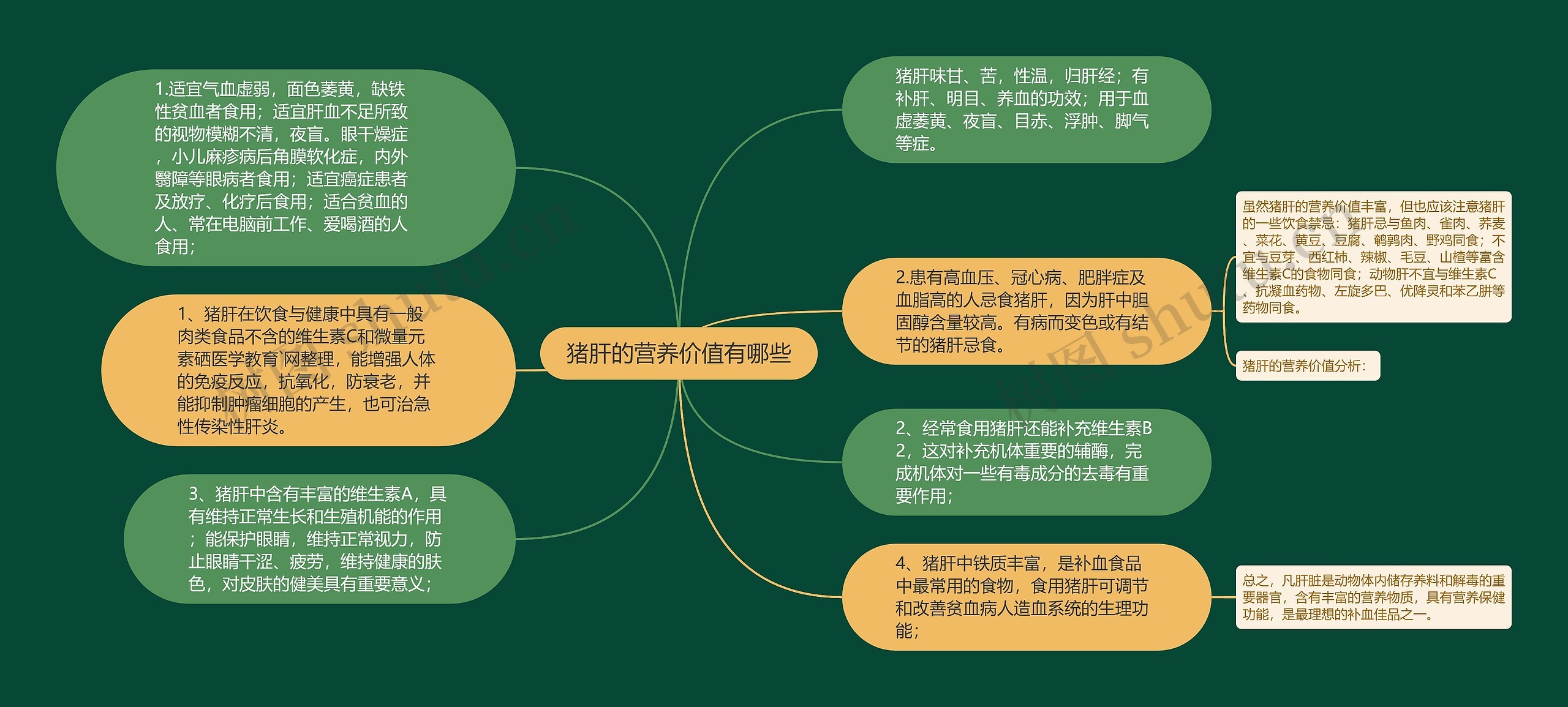 猪肝的营养价值有哪些思维导图