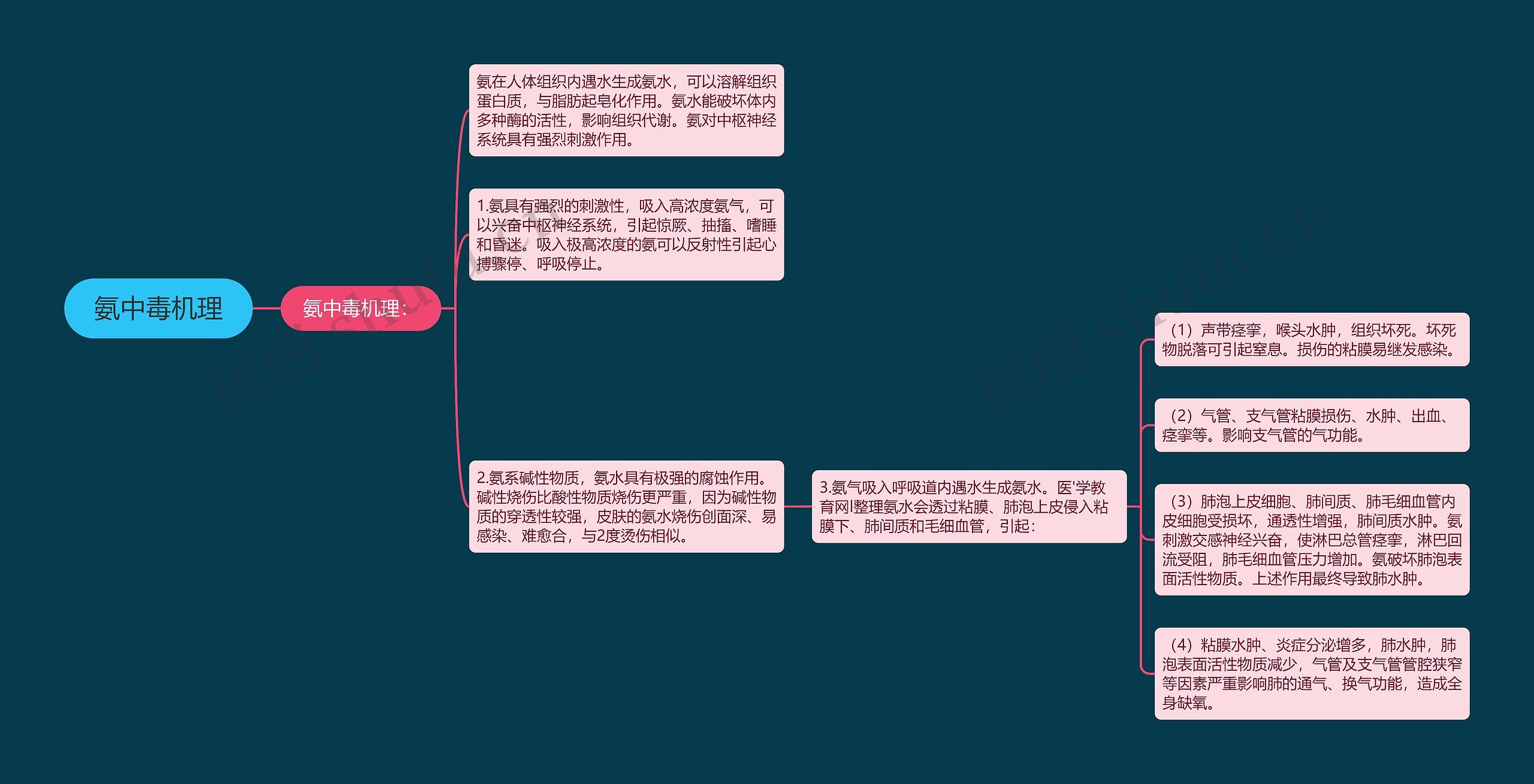 氨中毒机理思维导图