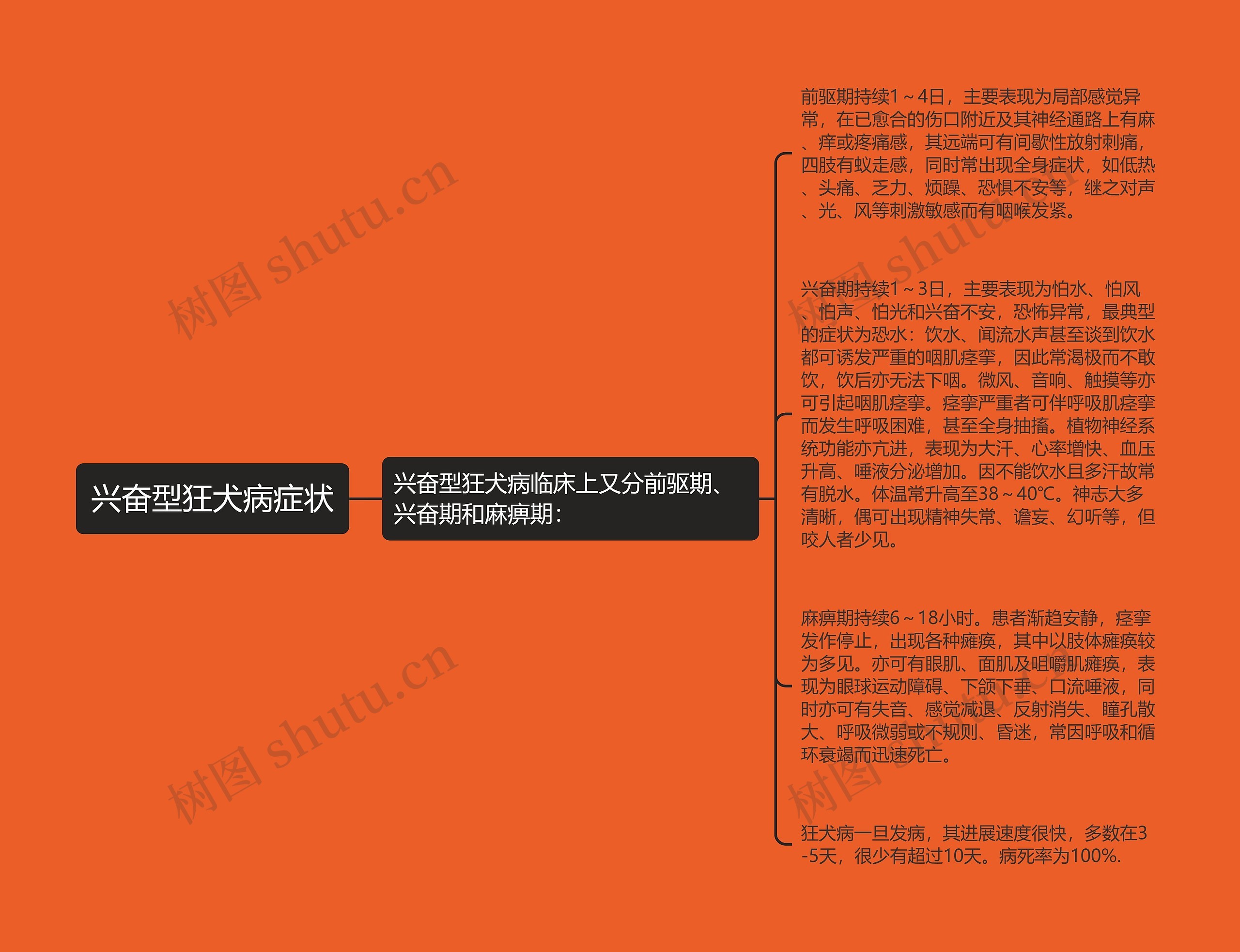 兴奋型狂犬病症状 兴奋型狂犬病症状