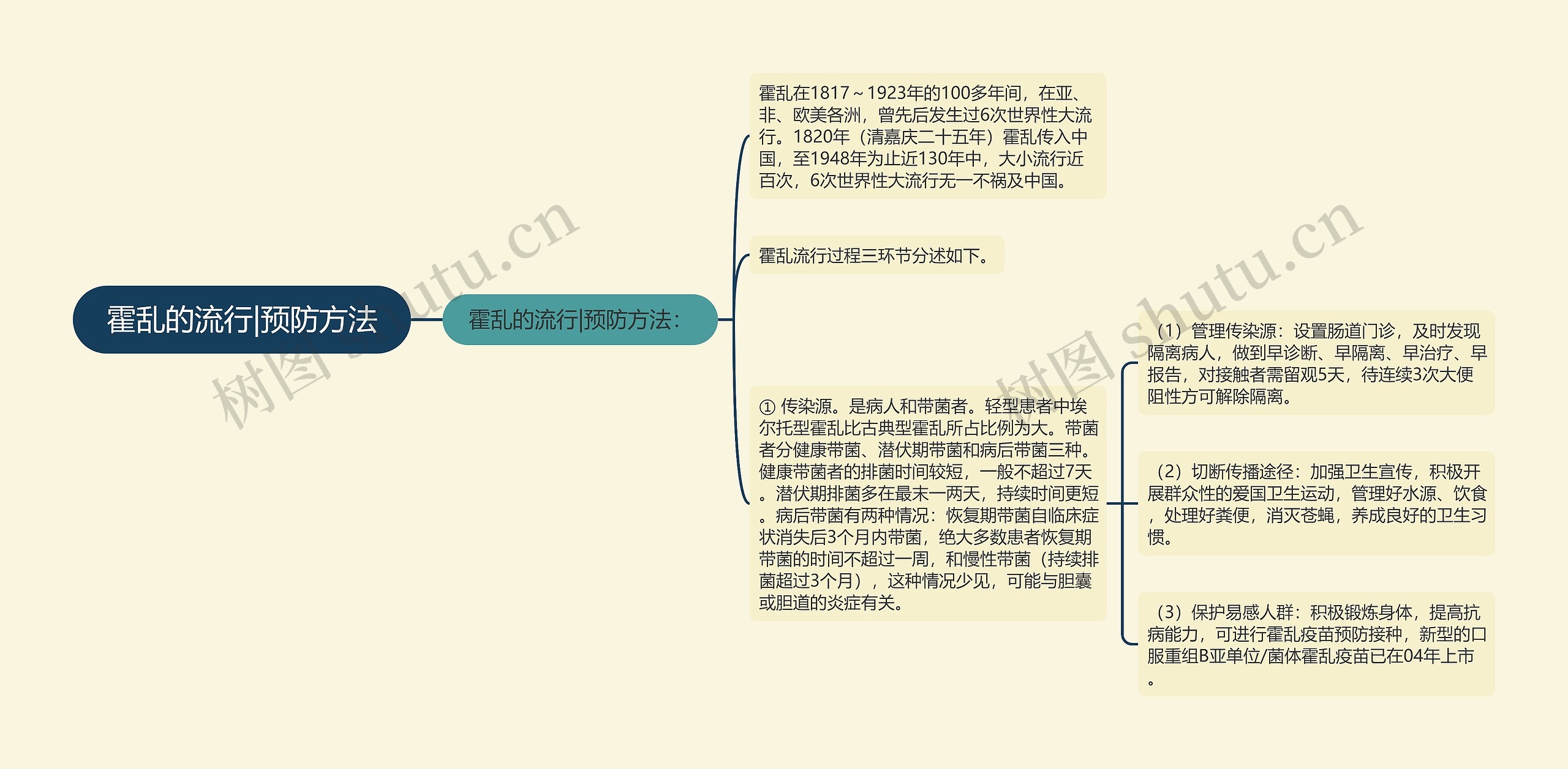 霍乱的流行|预防方法思维导图