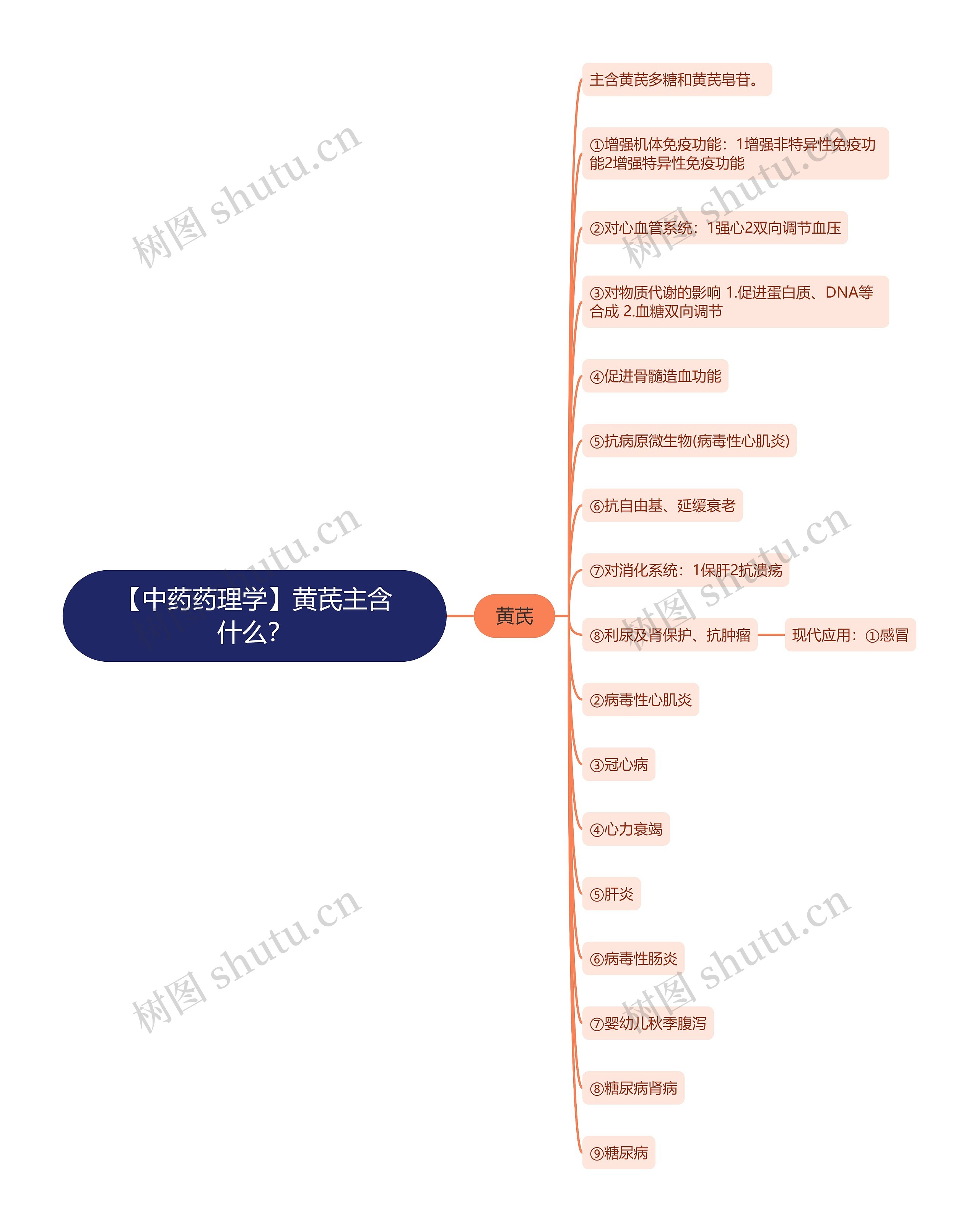 【中药药理学】黄芪主含什么？