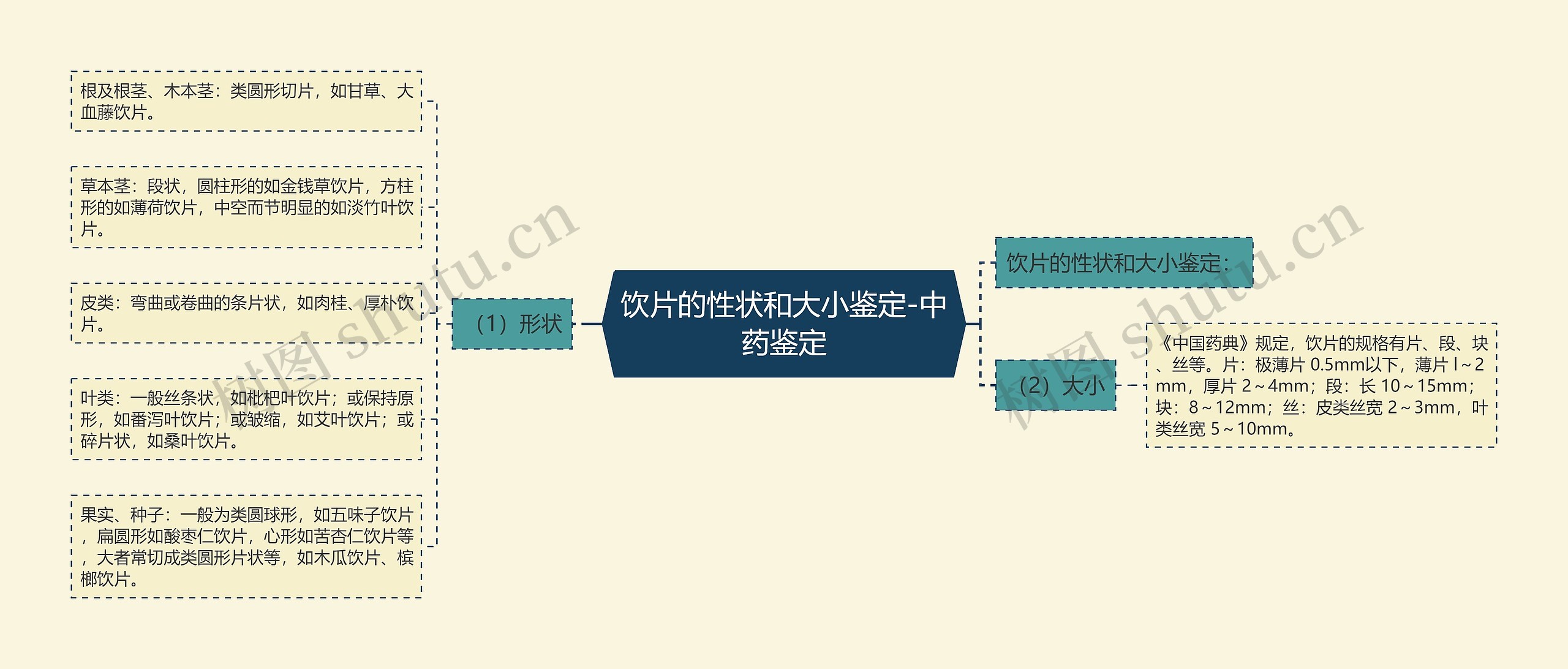 饮片的性状和大小鉴定-中药鉴定 饮片的性状和大小鉴定-中药鉴定
