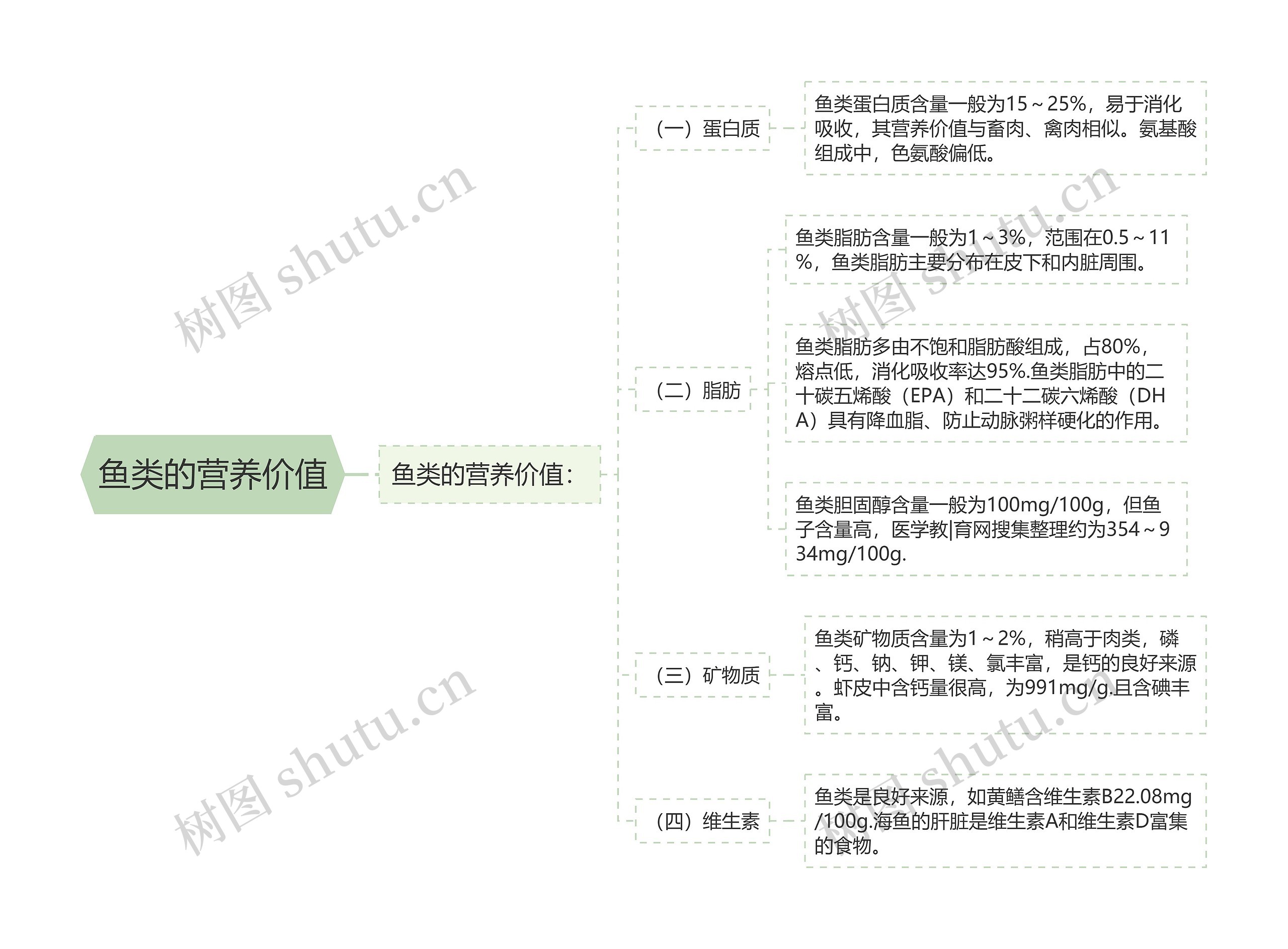 鱼类的营养价值思维导图