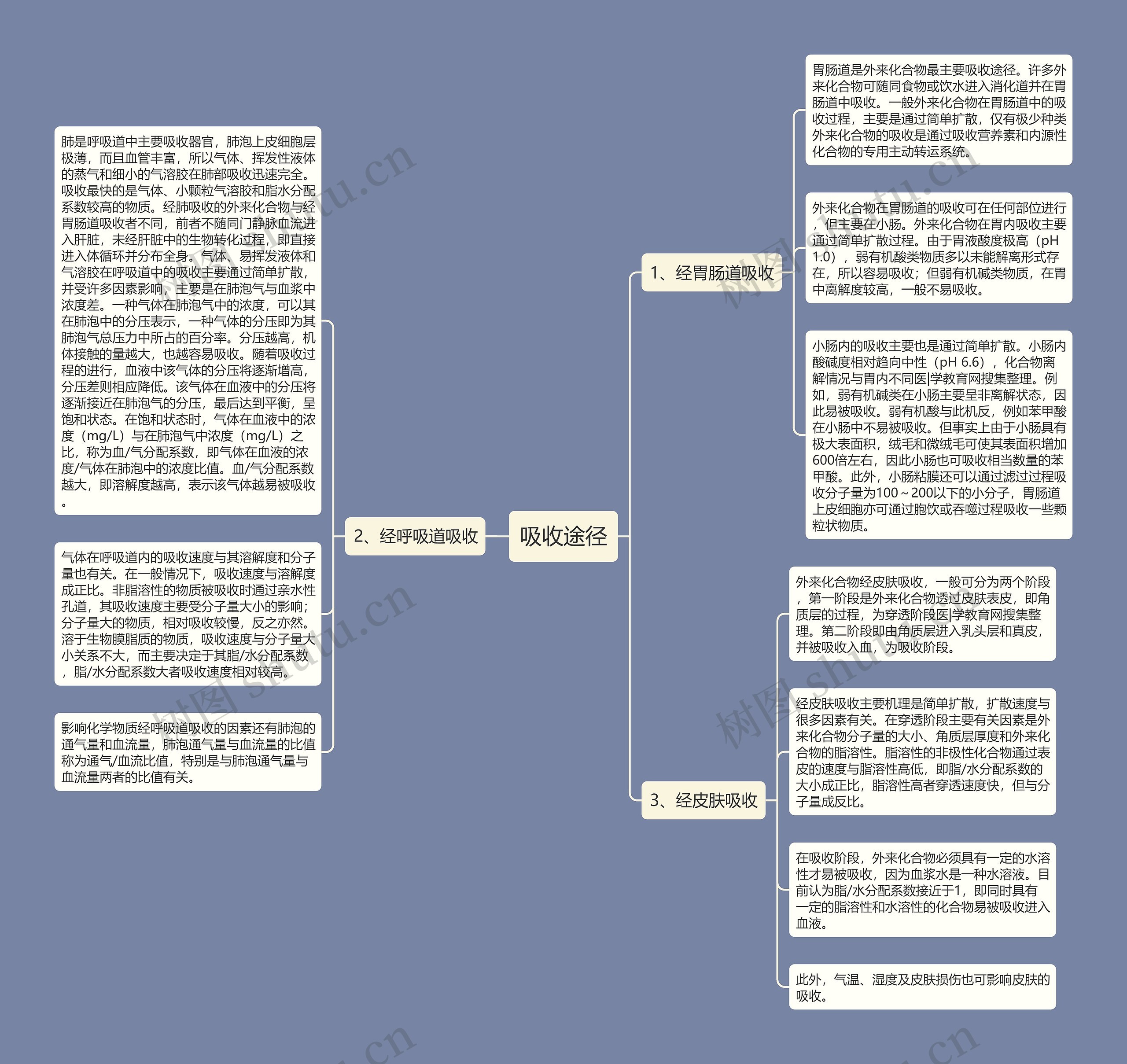 吸收途径思维导图