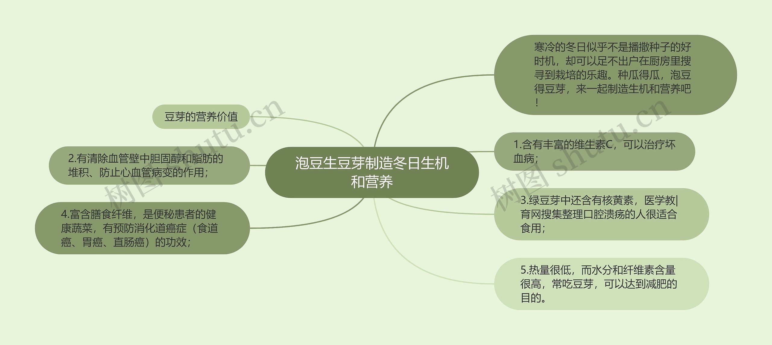 泡豆生豆芽制造冬日生机和营养思维导图