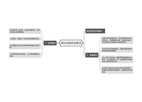 泥石流的应急要点