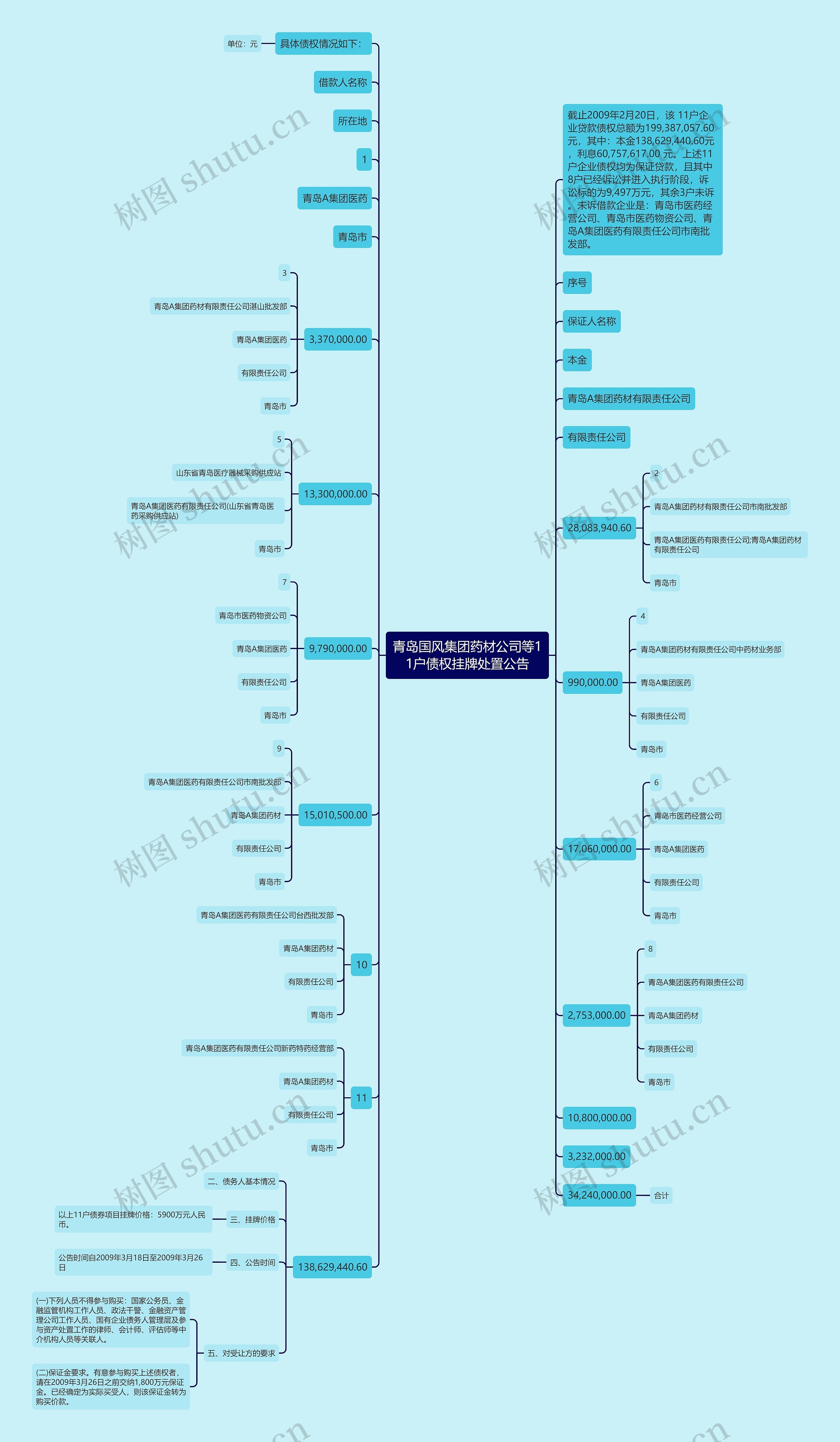 青岛国风集团药材公司等11户债权挂牌处置公告思维导图