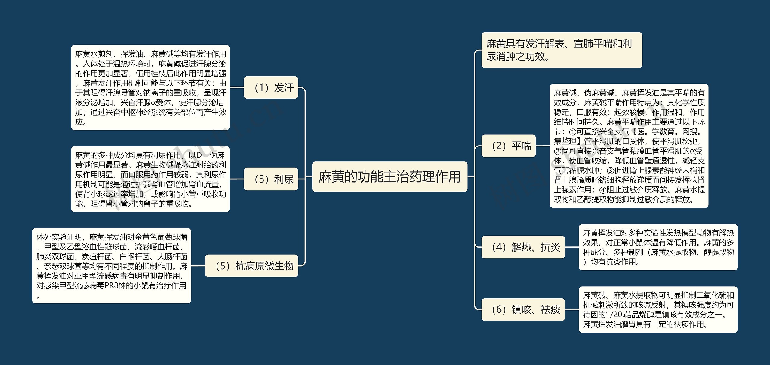 麻黄的功能主治药理作用思维导图