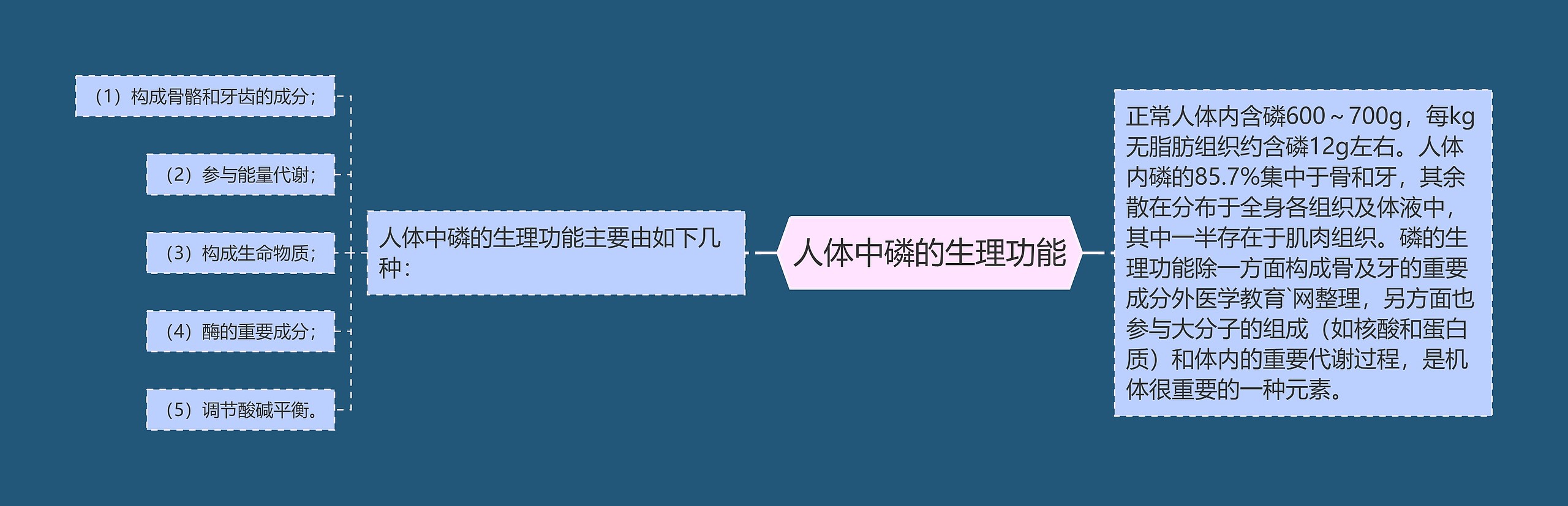 人体中磷的生理功能 人体中磷的生理功能