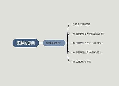 肥胖的原因