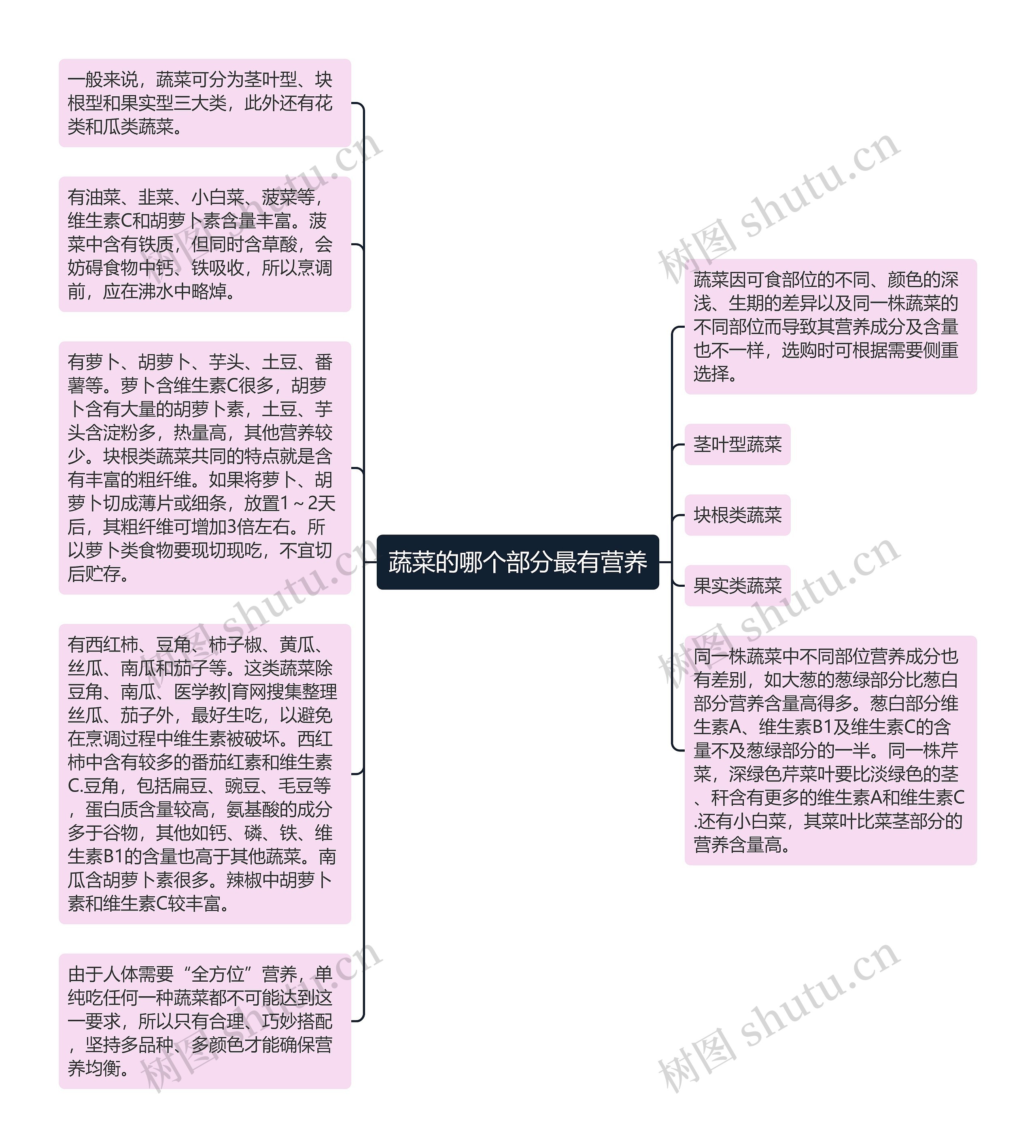 蔬菜的哪个部分最有营养思维导图