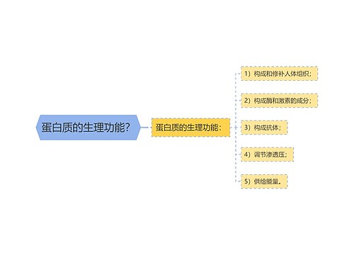 蛋白质的生理功能？