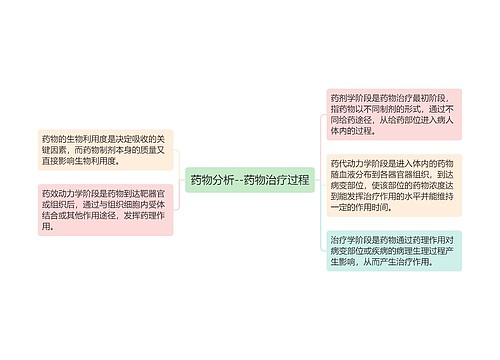 药物分析--药物治疗过程