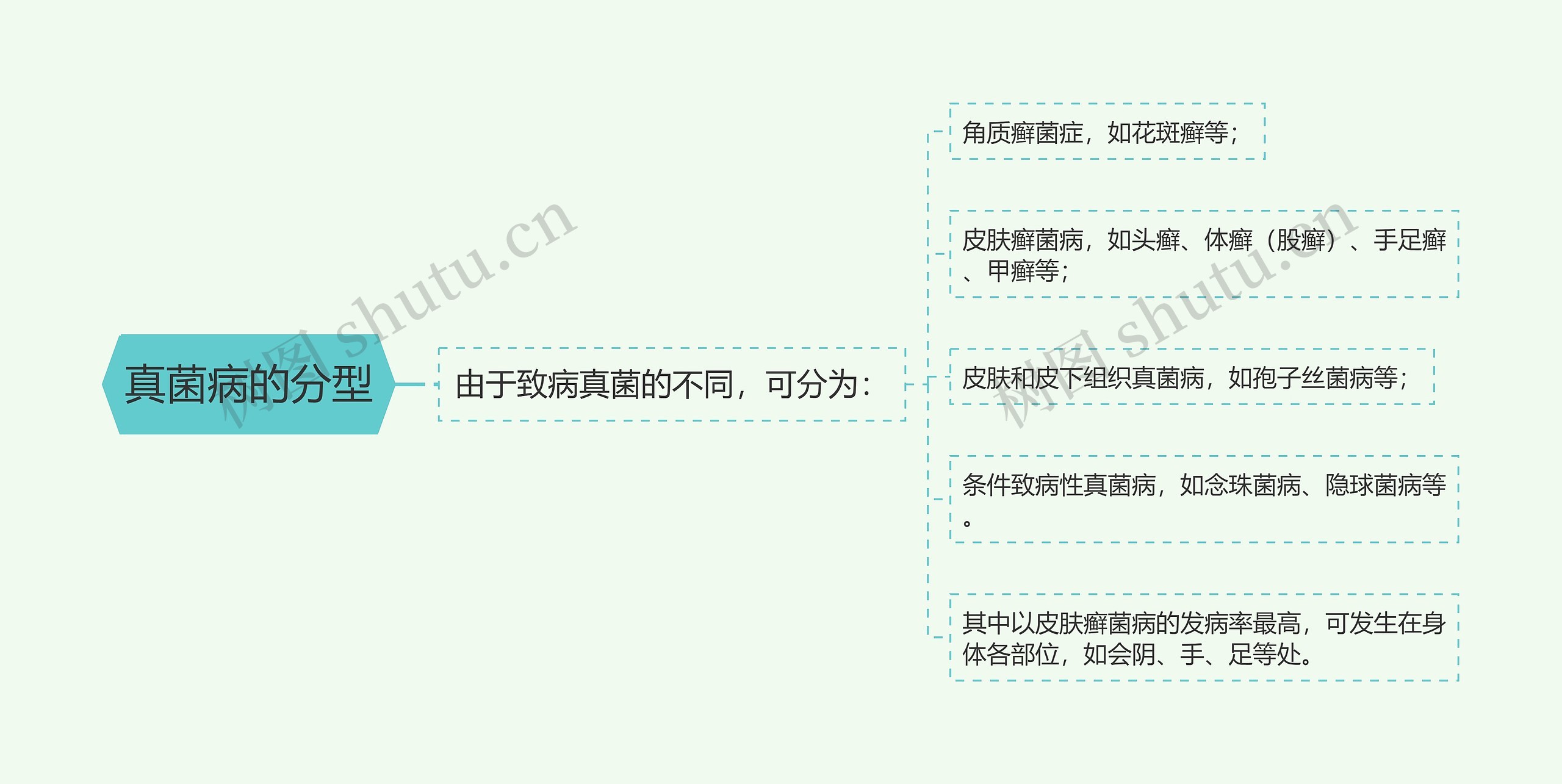 真菌病的分型 真菌病的分型