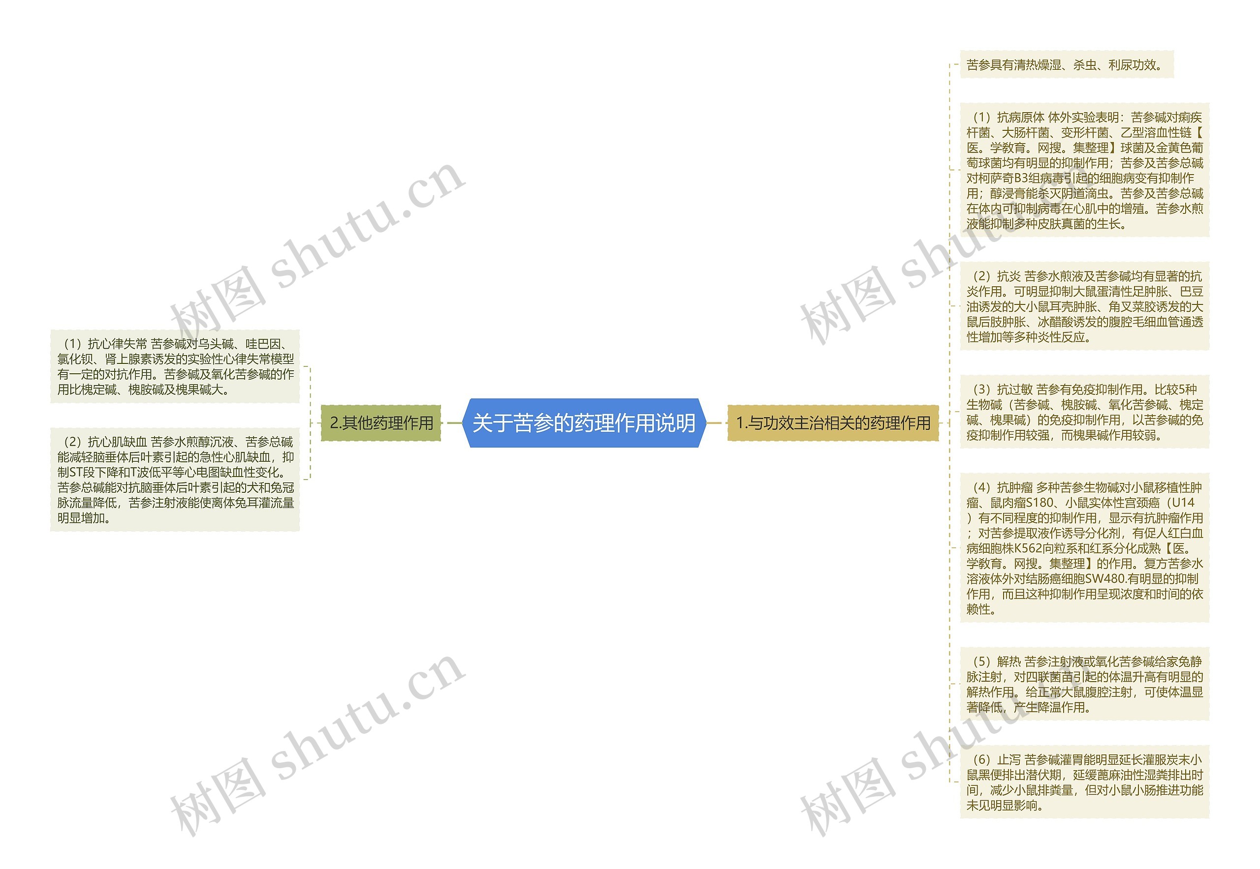 关于苦参的药理作用说明思维导图