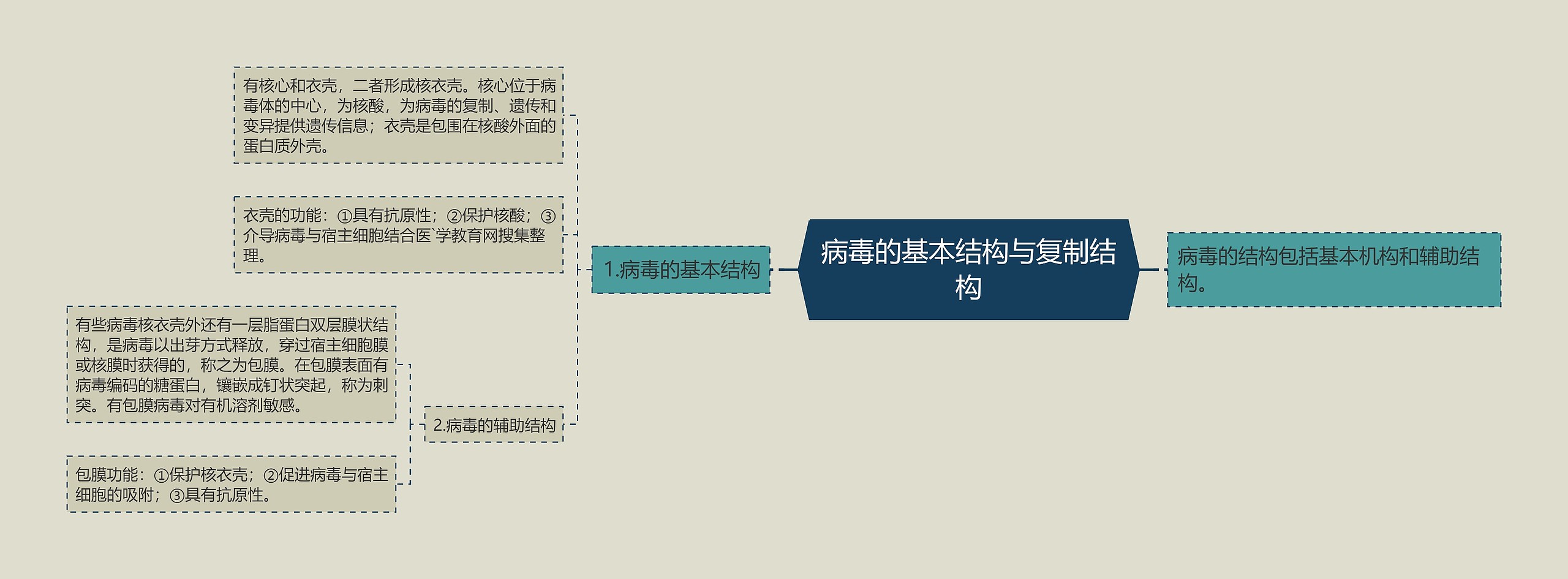 病毒的基本结构与复制结构思维导图