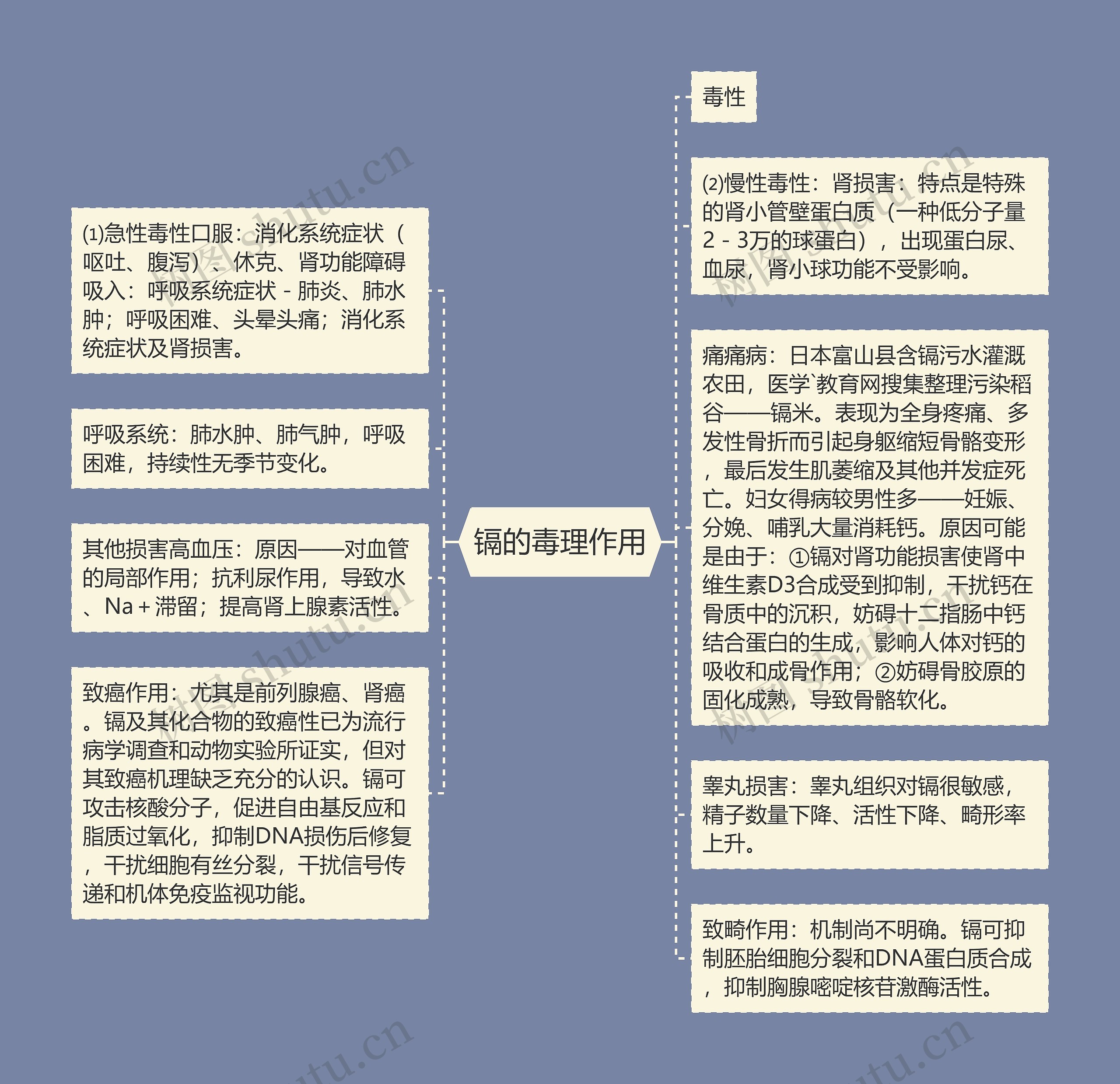 镉的毒理作用思维导图