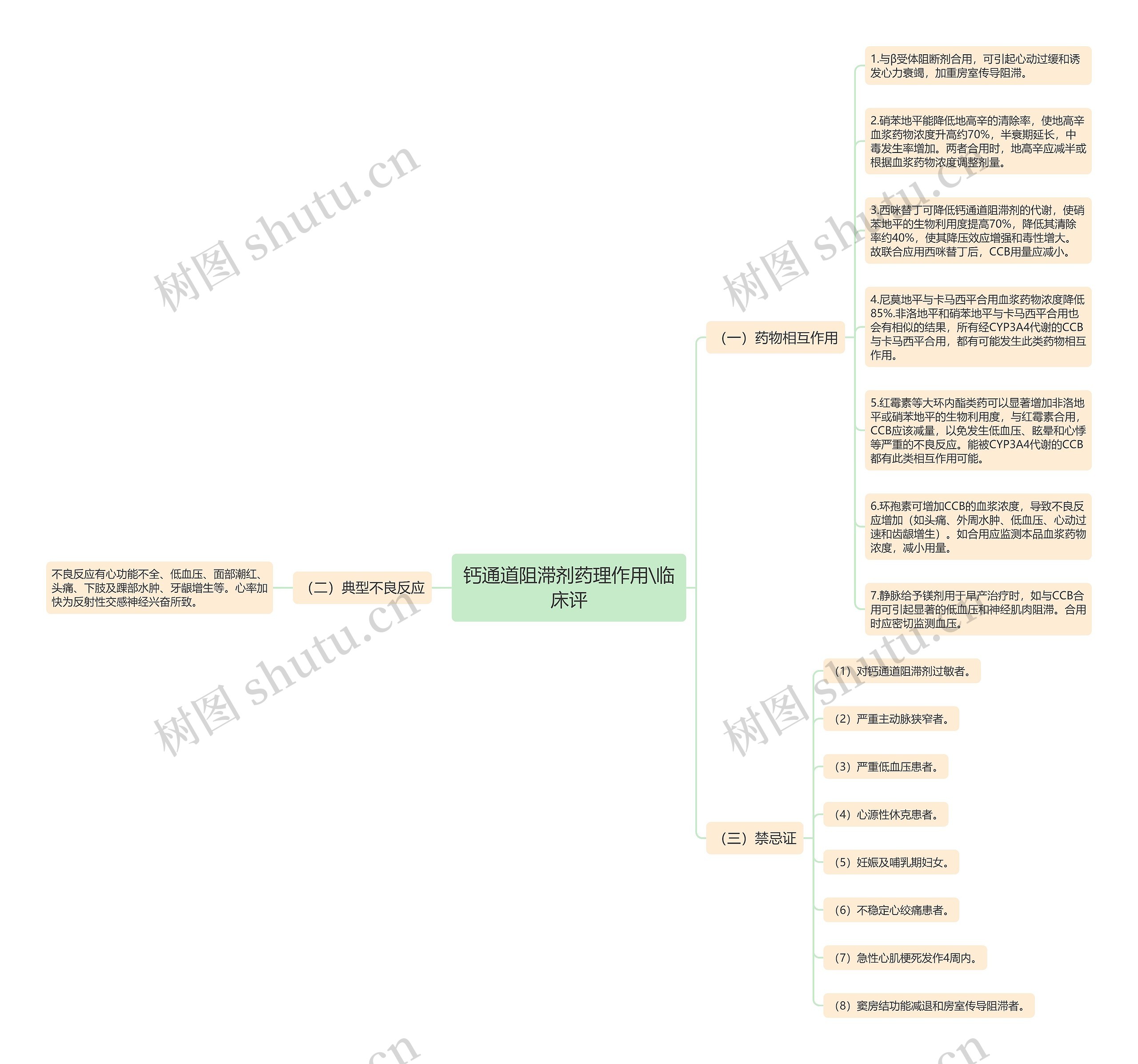 钙通道阻滞剂药理作用\临床评思维导图