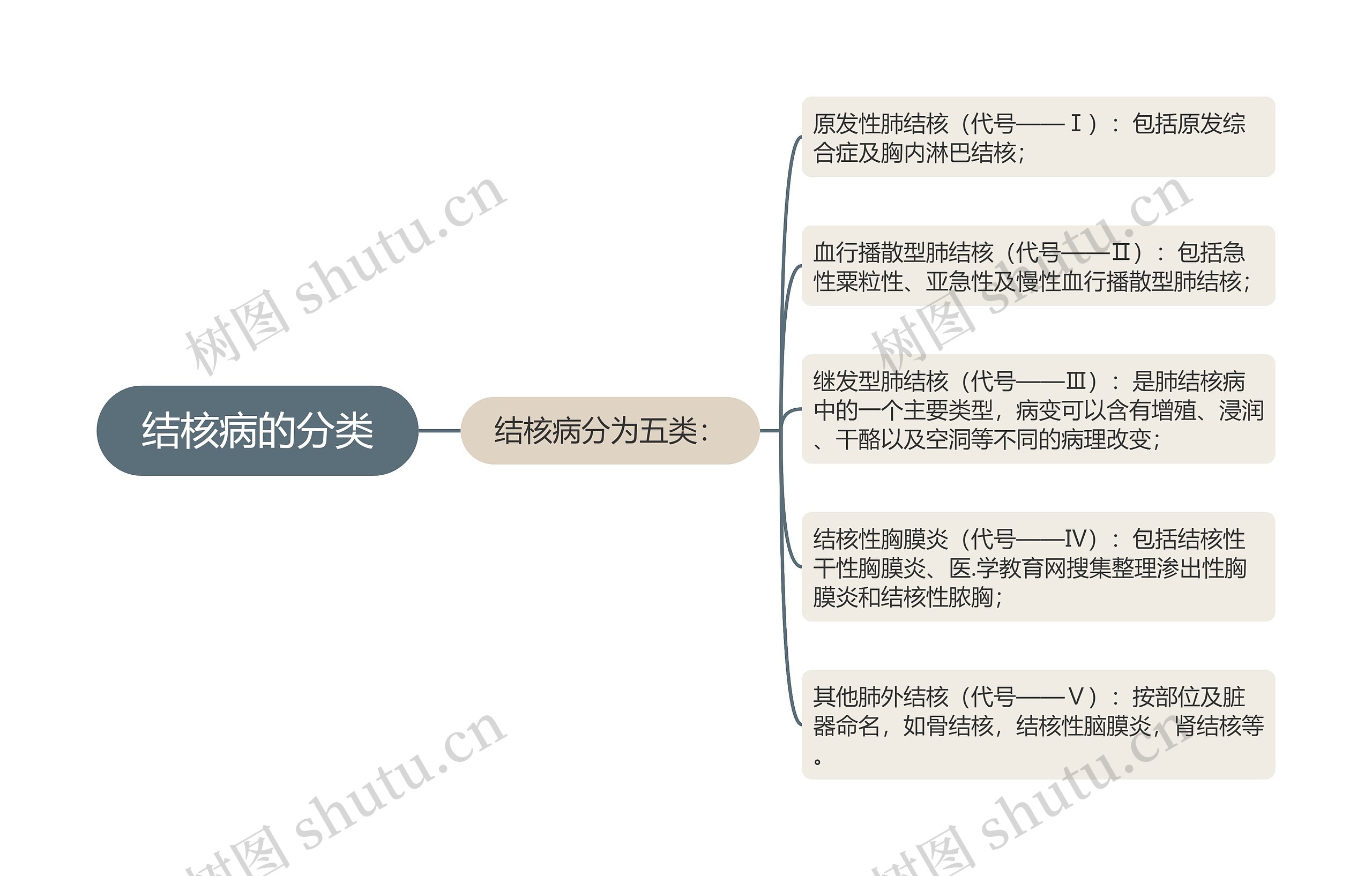 结核病的分类