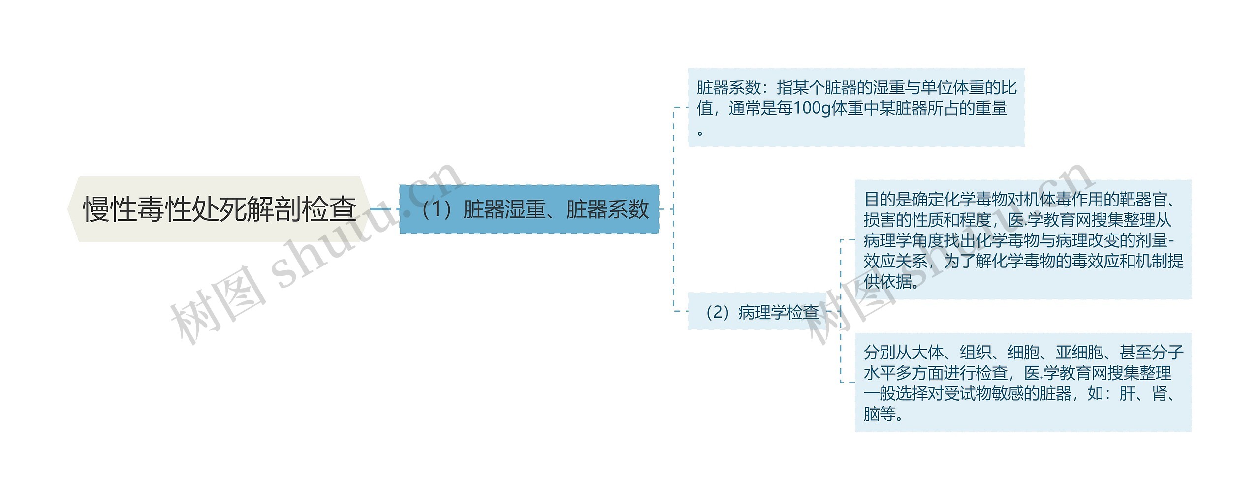 慢性毒性处死解剖检查