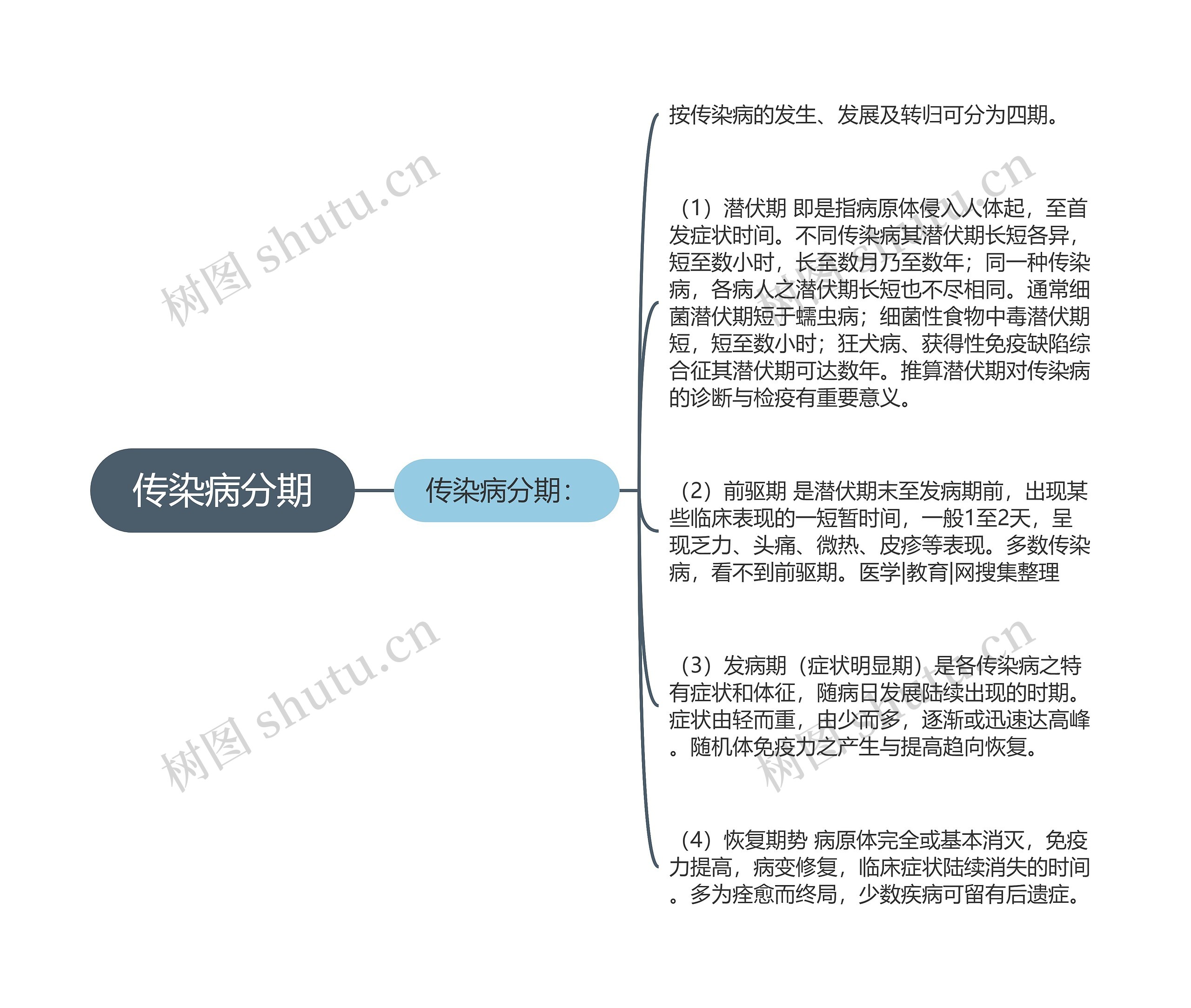 传染病分期思维导图