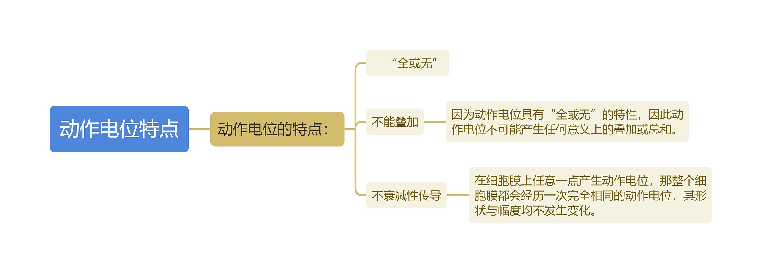 动作电位特点