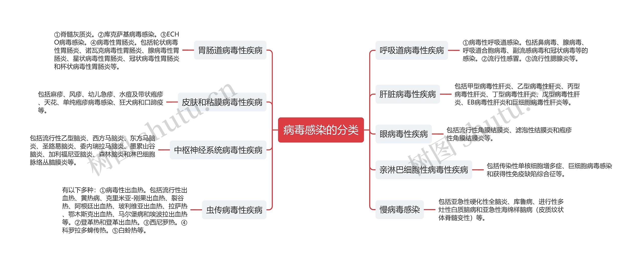 病毒感染的分类