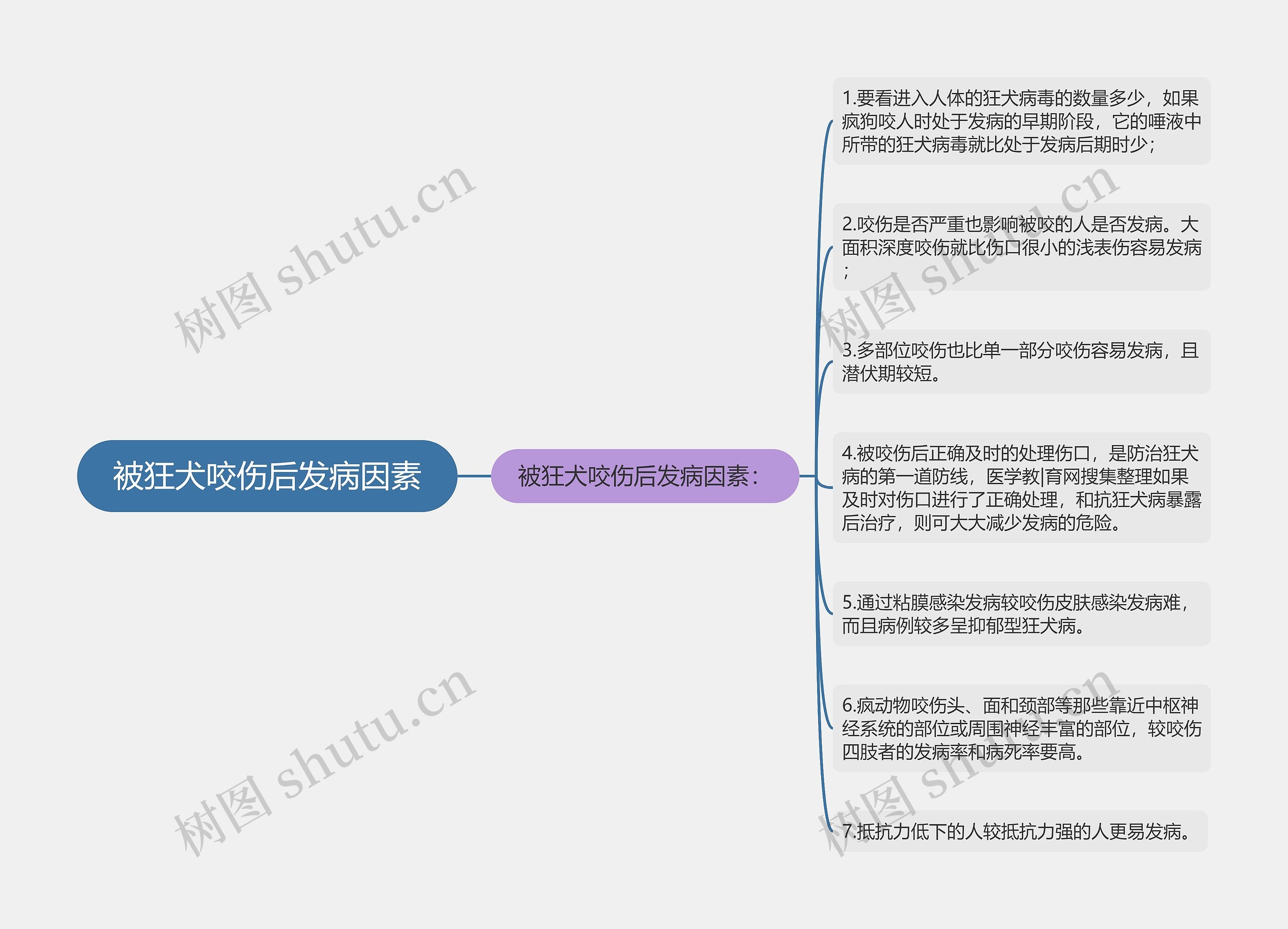 被狂犬咬伤后发病因素