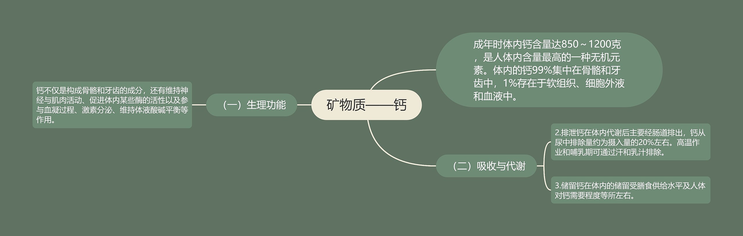 矿物质——钙 矿物质——钙