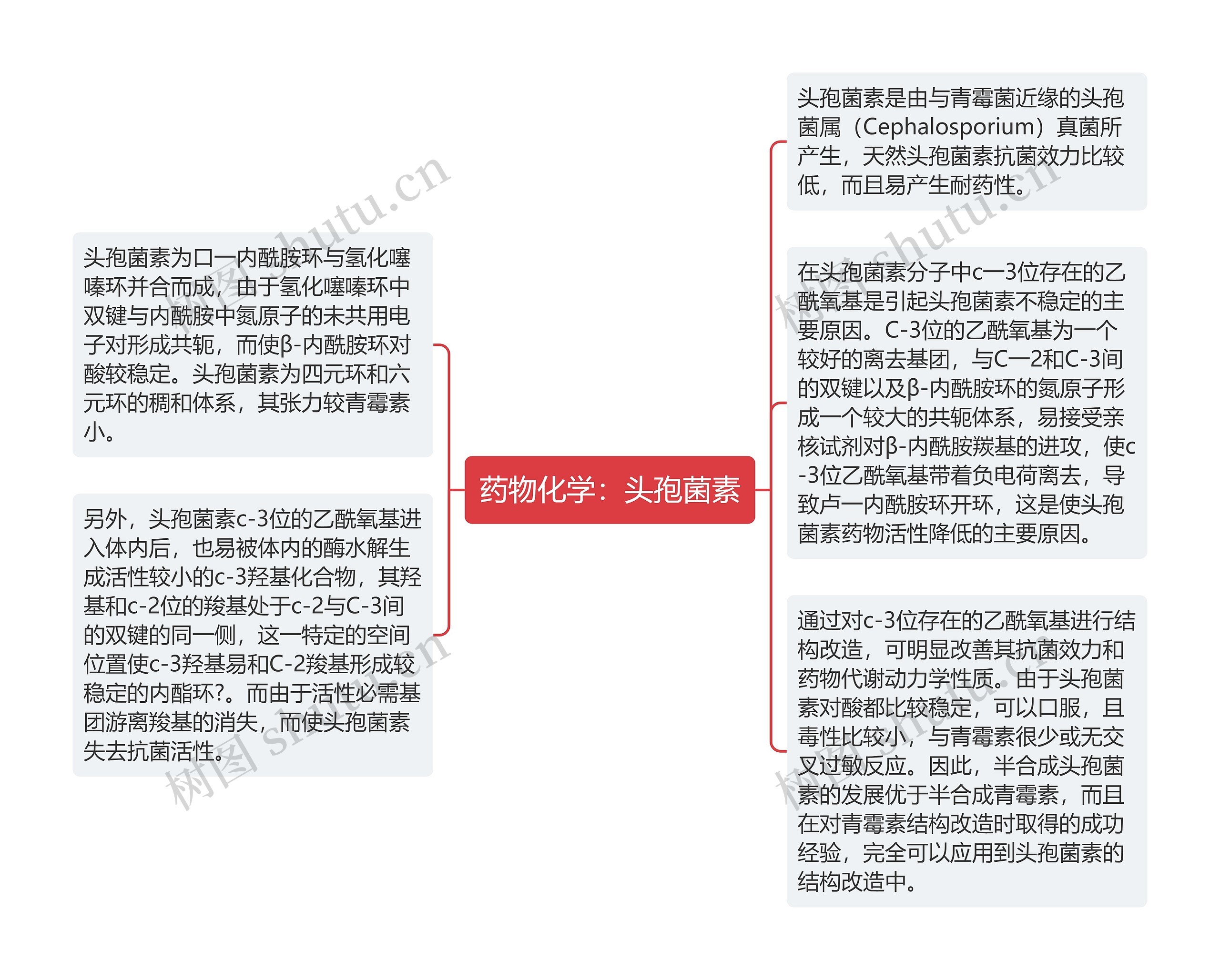 药物化学：头孢菌素