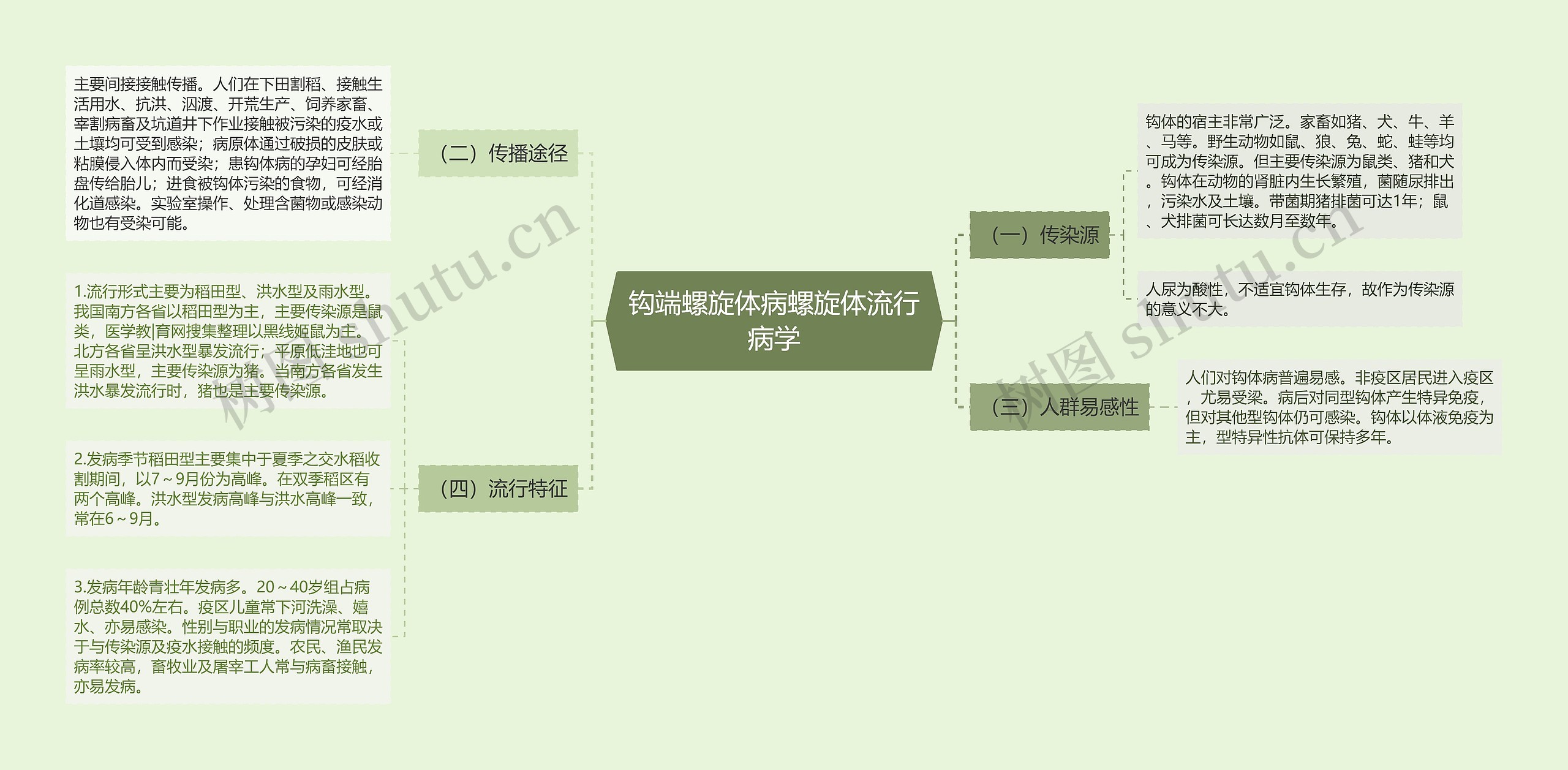 钩端螺旋体病螺旋体流行病学思维导图