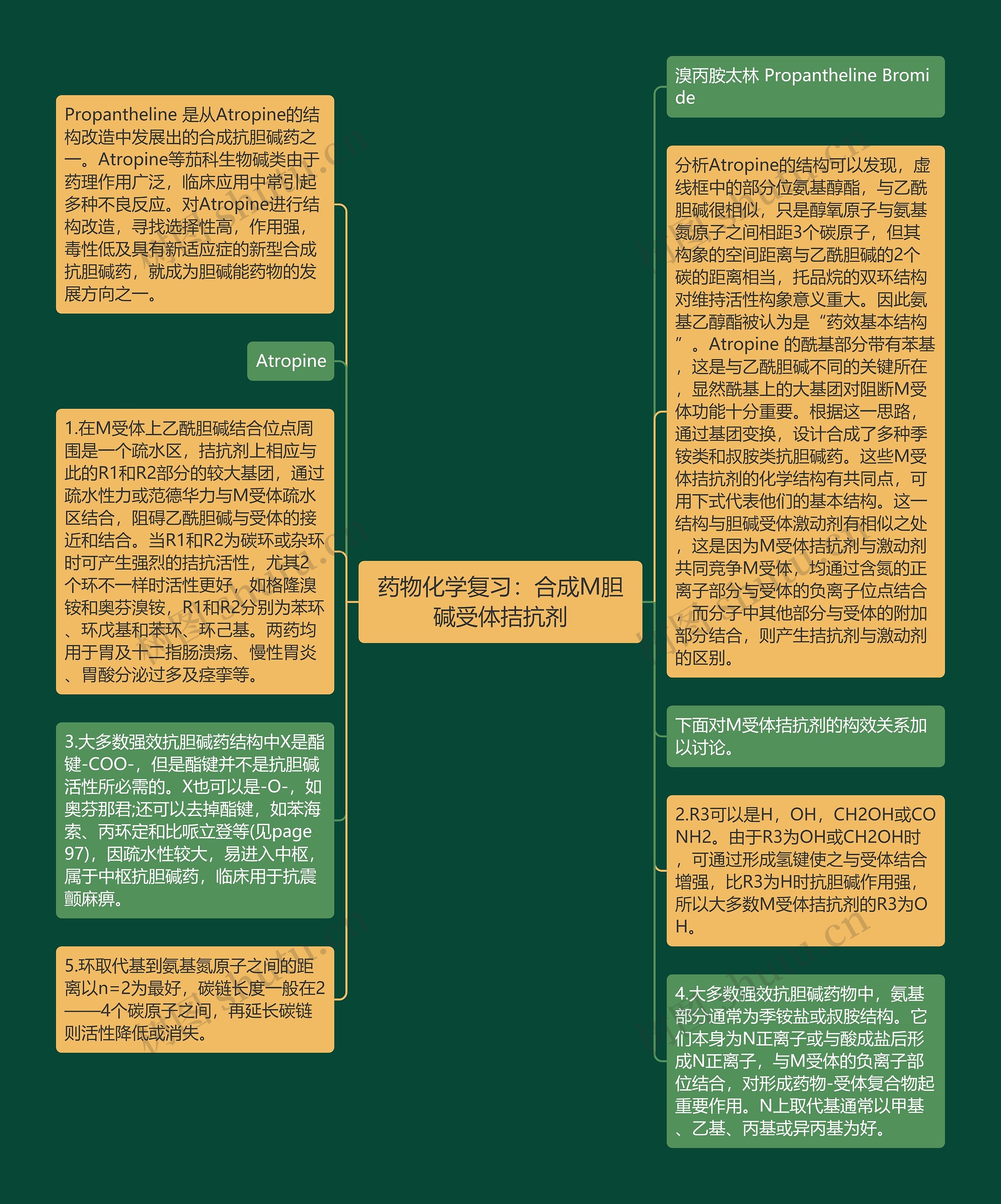 药物化学复习：合成M胆碱受体拮抗剂思维导图