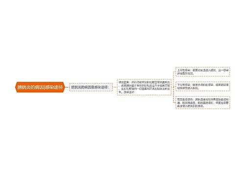 膀胱炎的病因|感染途径